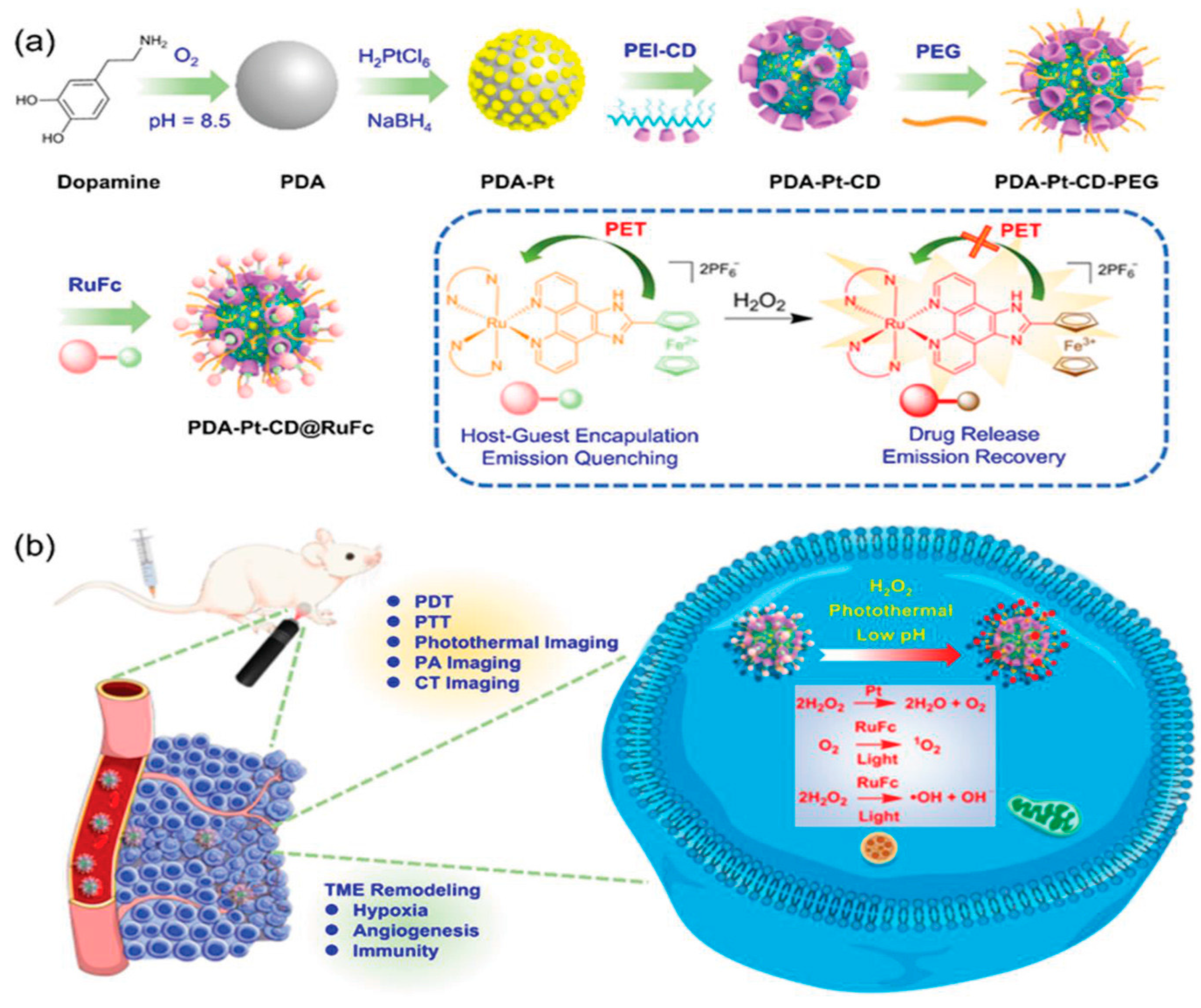 Pharmaceutics 15 02044 g024 Pharmaceutics 15 02044 g024