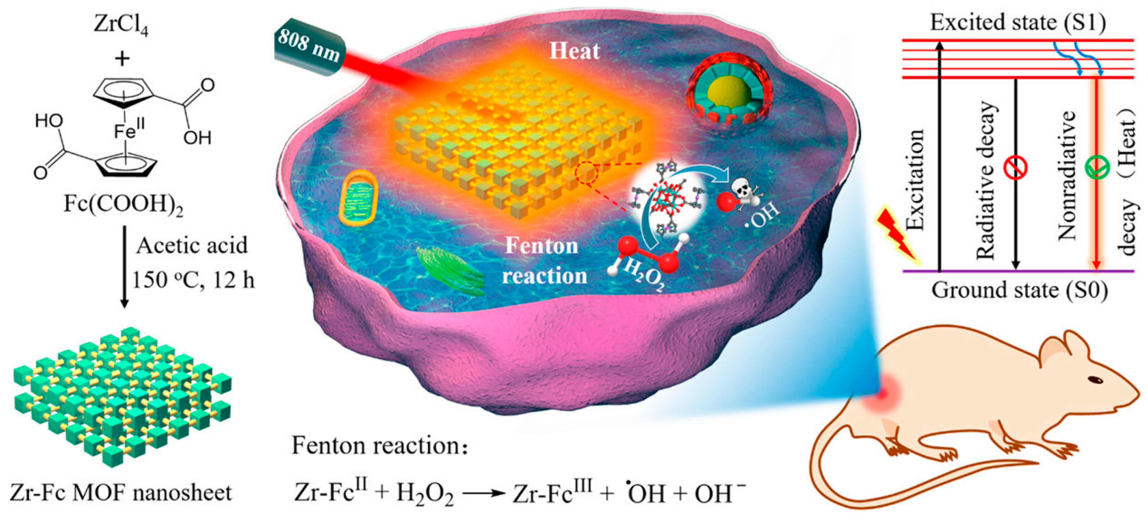 Pharmaceutics 15 02044 g025 Pharmaceutics 15 02044 g025