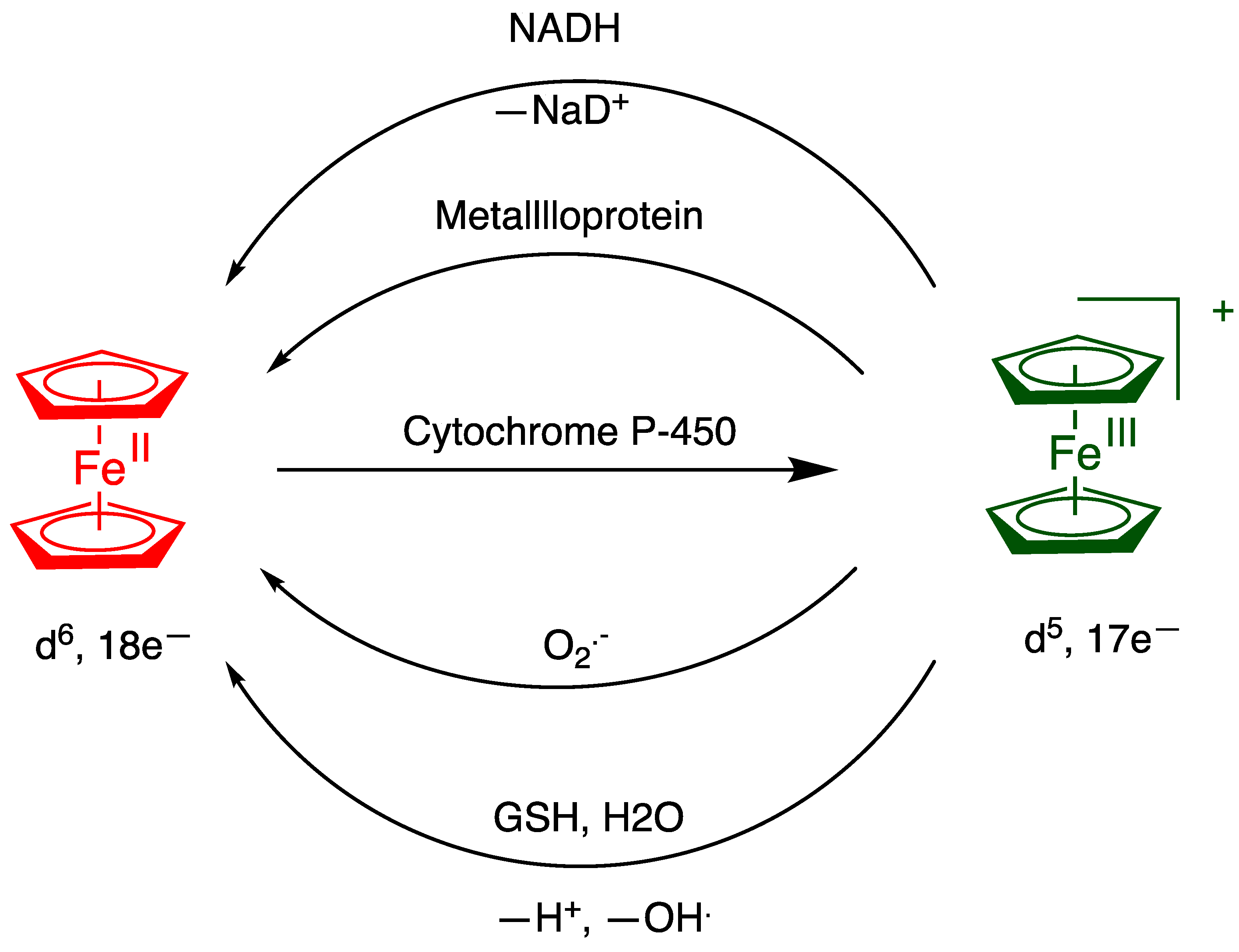 Pharmaceutics 15 02044 sch002 Pharmaceutics 15 02044 sch002