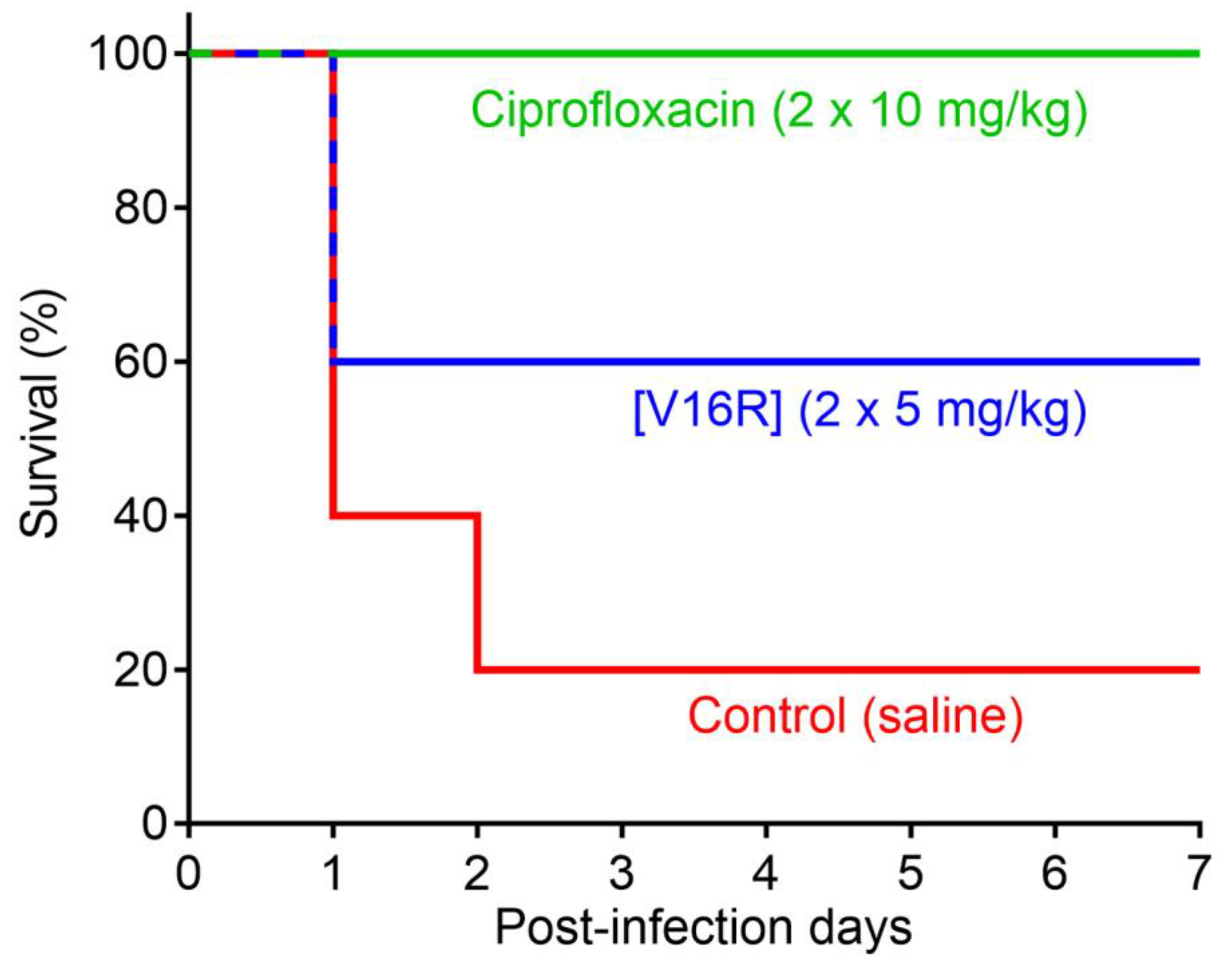 Pharmaceutics 15 02047 g006
