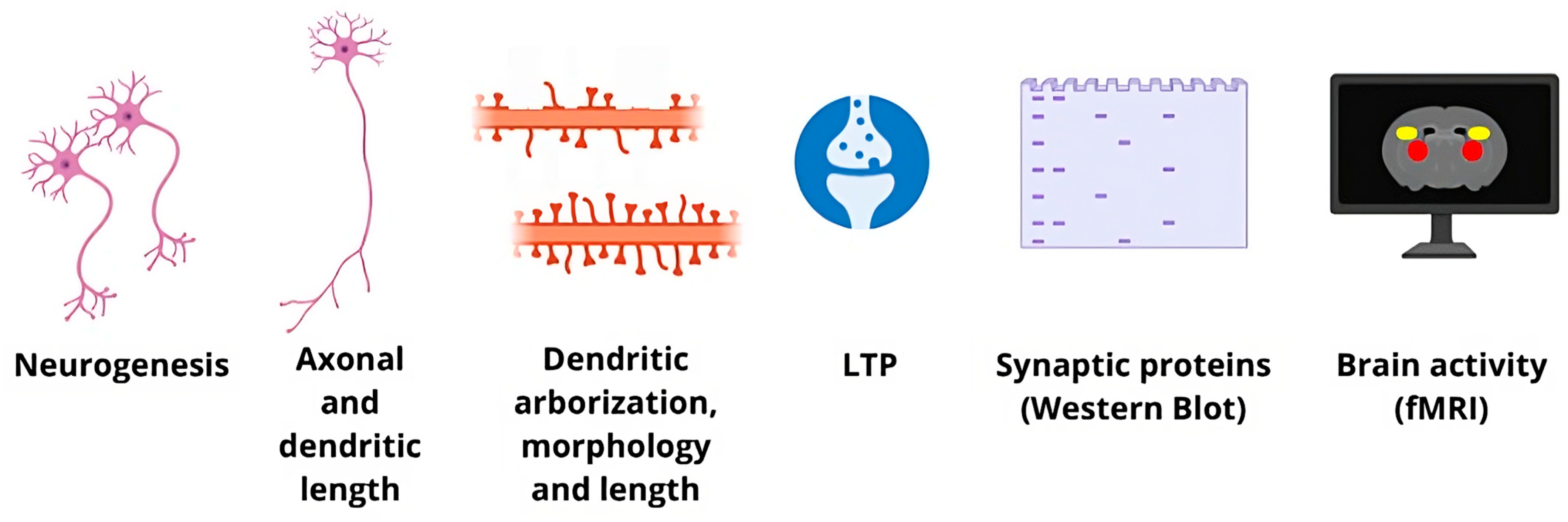 Pharmaceutics 15 02052 g001