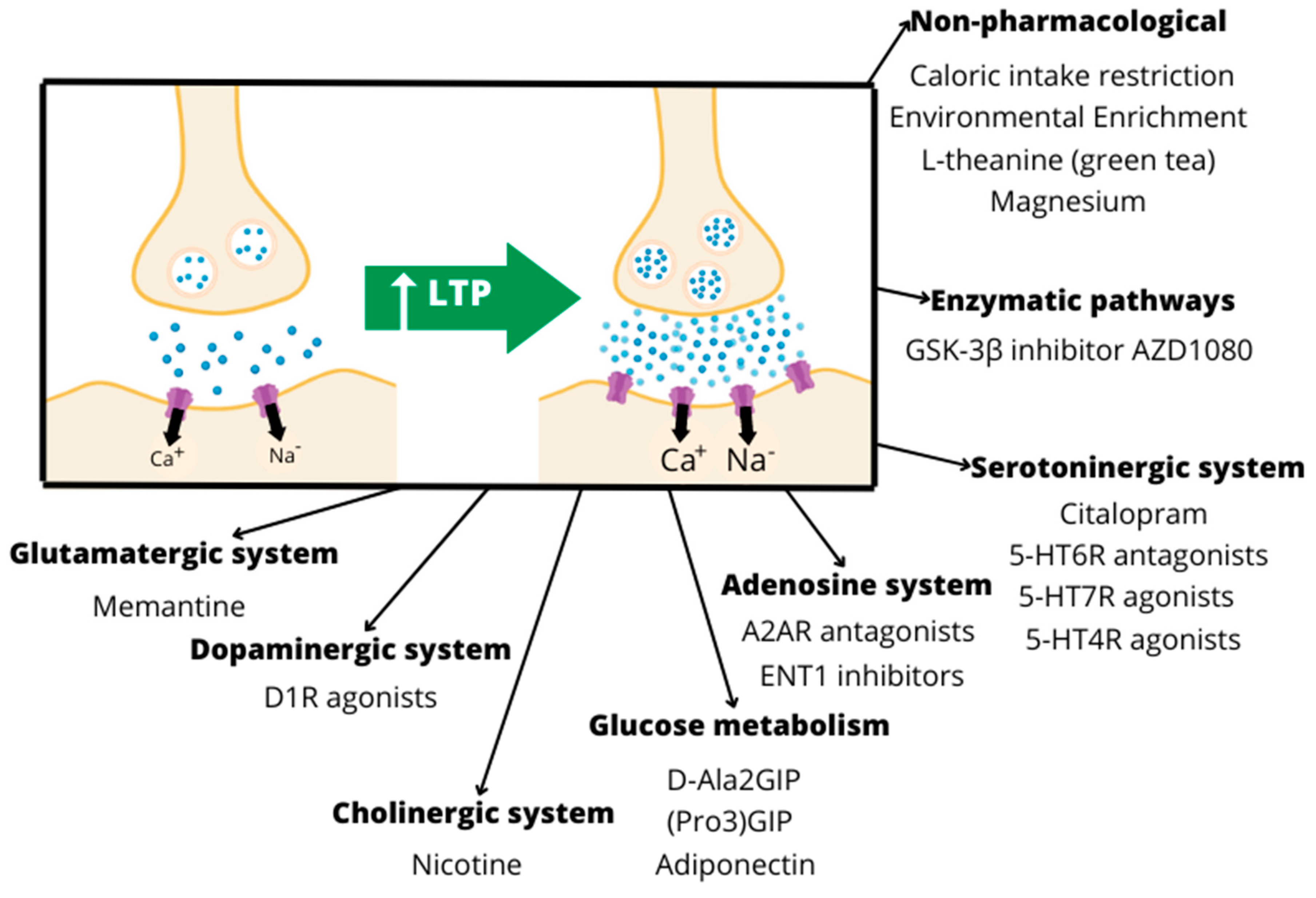 Pharmaceutics 15 02052 g003