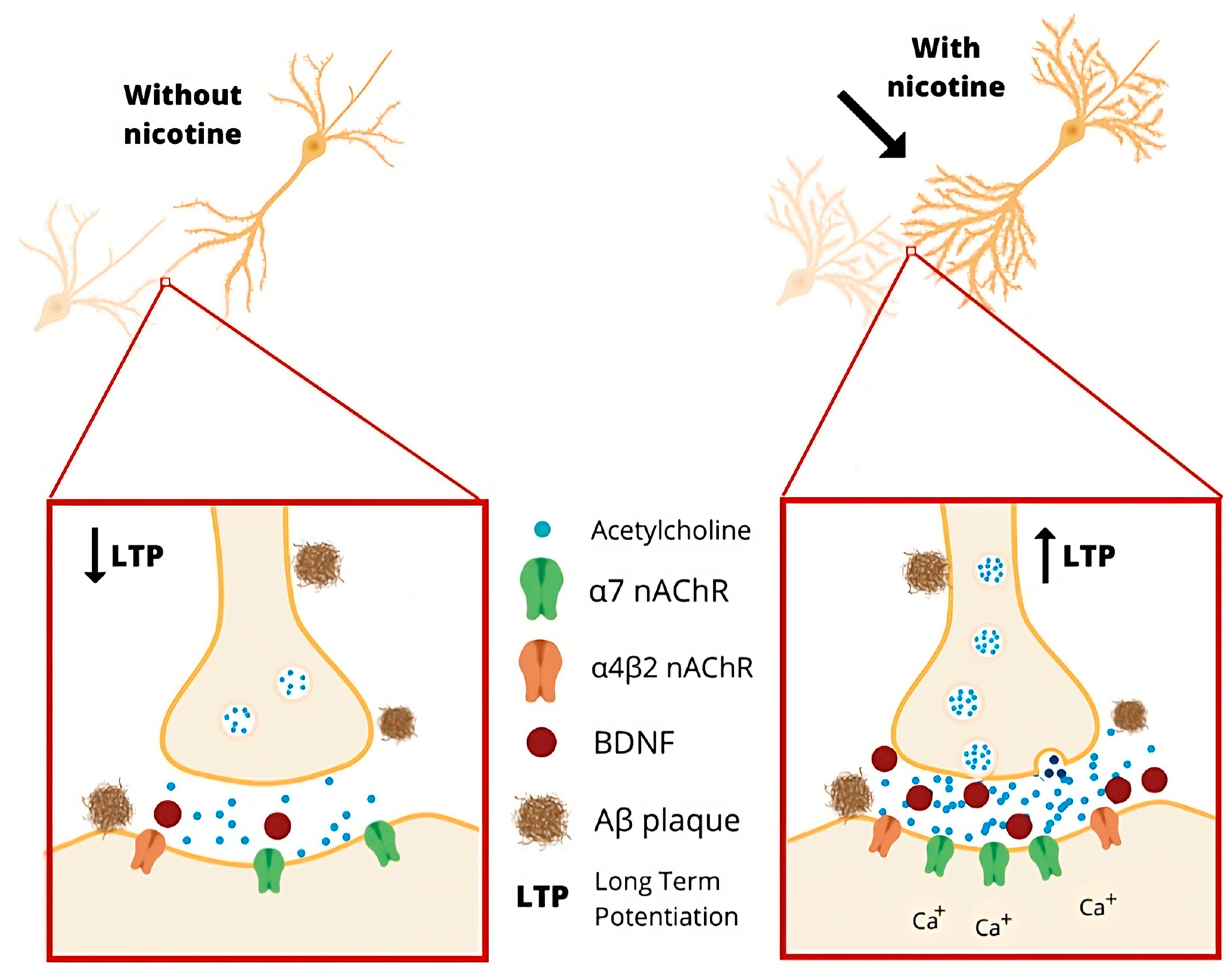 Pharmaceutics 15 02052 g004