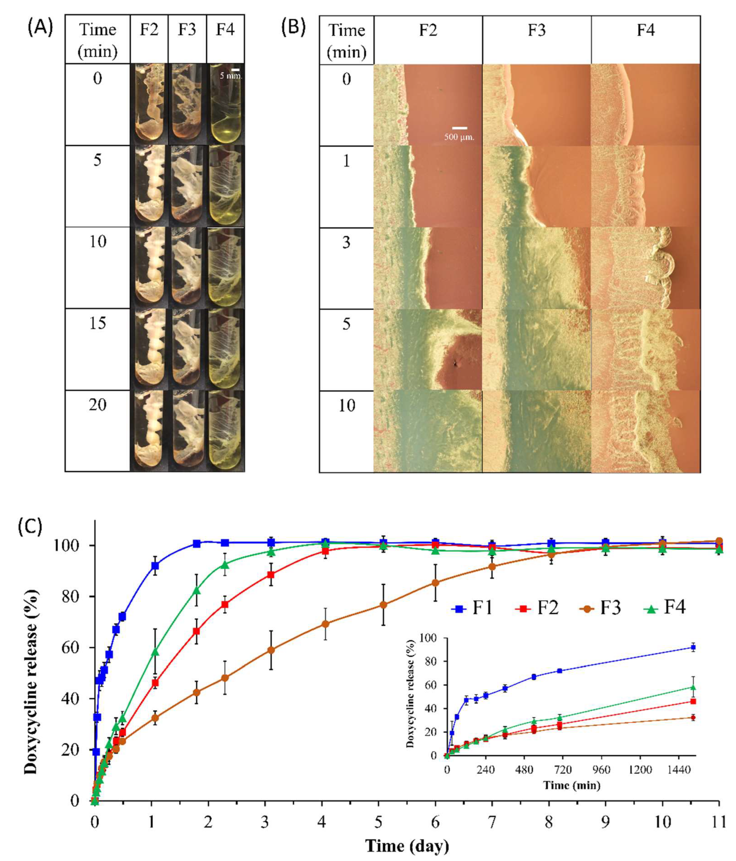 Pharmaceutics 15 02053 g002