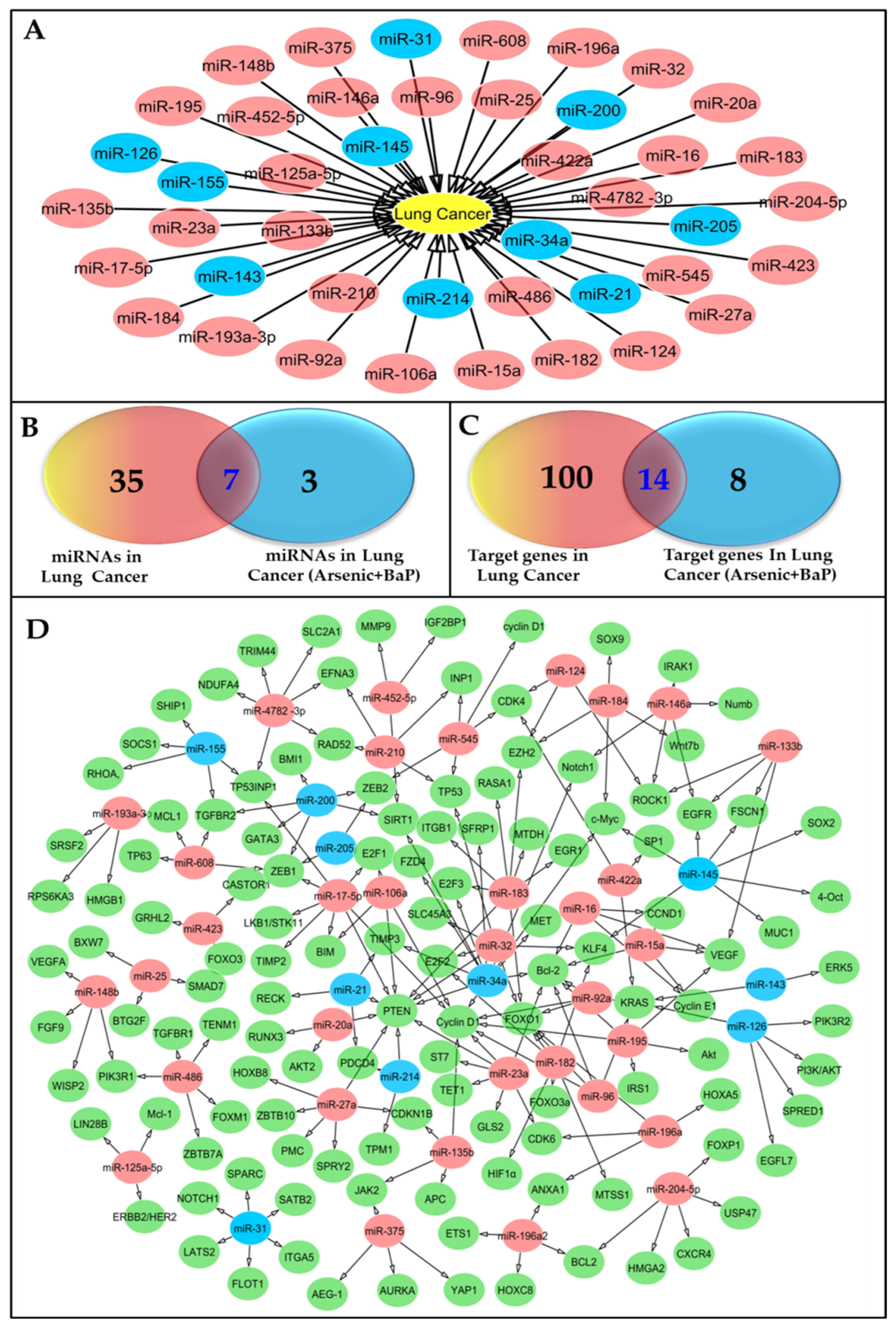 Pharmaceutics 15 02061 g002 Pharmaceutics 15 02061 g002