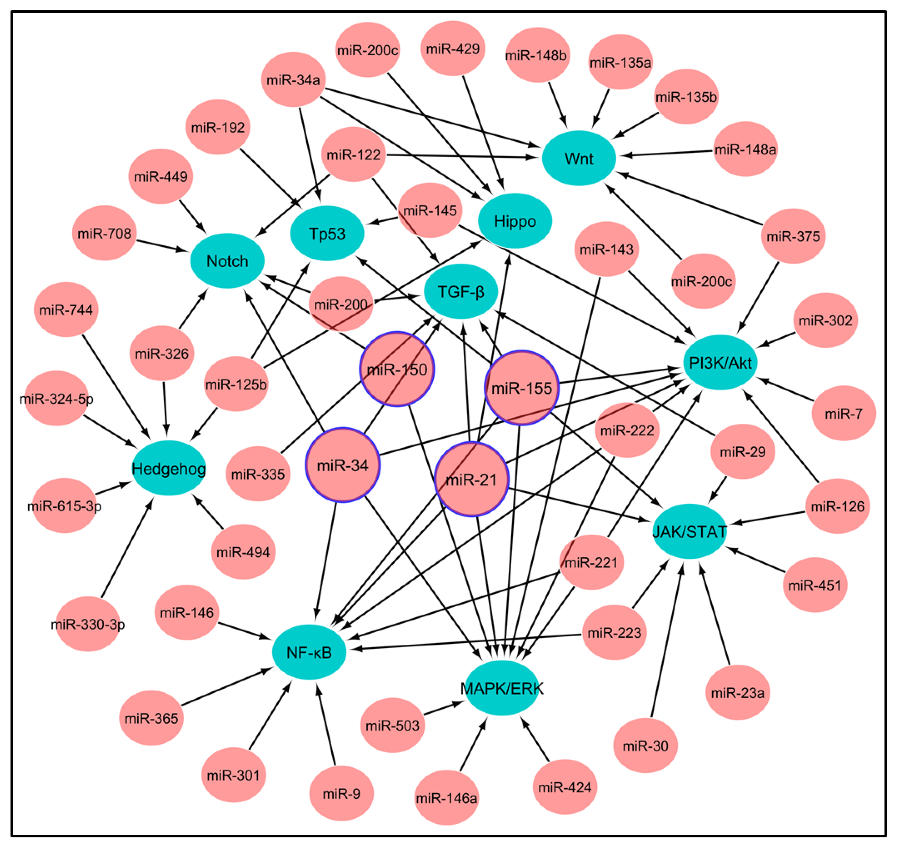 Pharmaceutics 15 02061 g003 Pharmaceutics 15 02061 g003