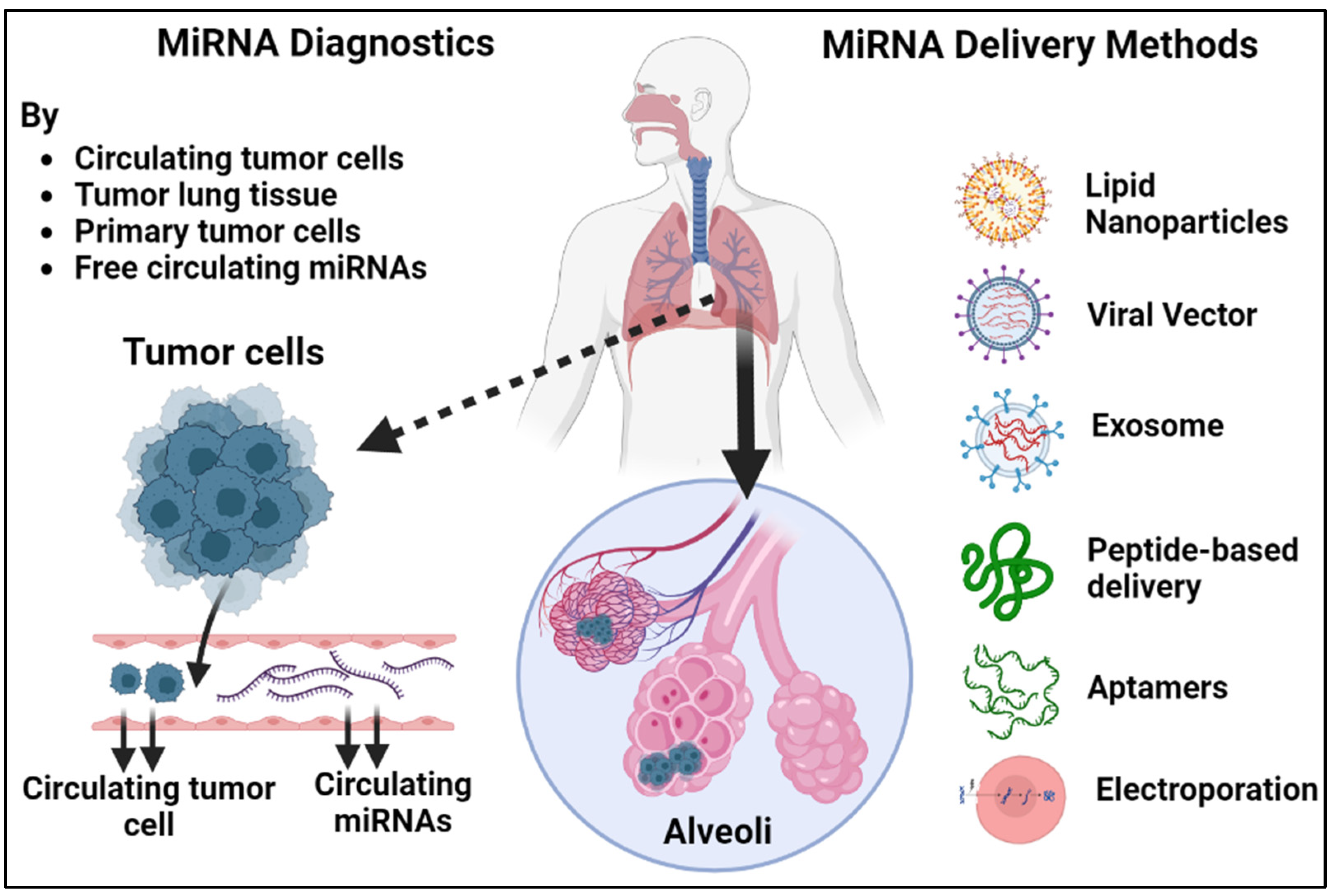 Pharmaceutics 15 02061 g005 Pharmaceutics 15 02061 g005