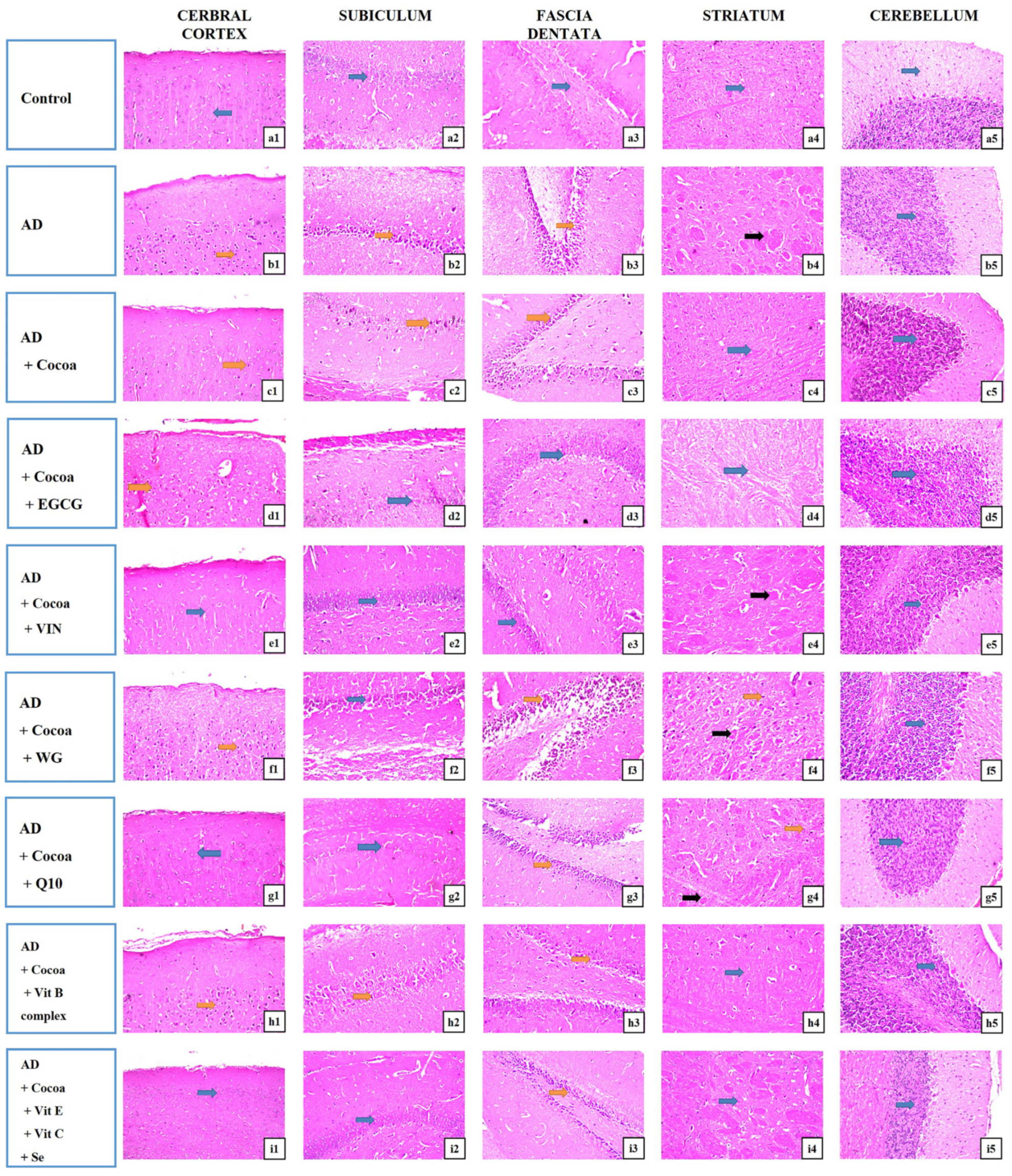 Pharmaceutics 15 02063 g007 Pharmaceutics 15 02063 g007