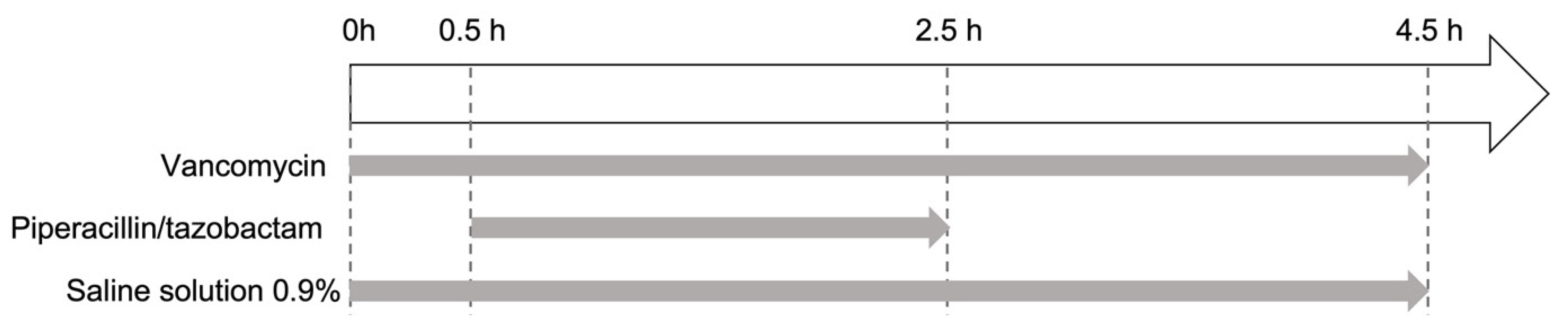 Pharmaceutics 15 02069 g001 Pharmaceutics 15 02069 g001