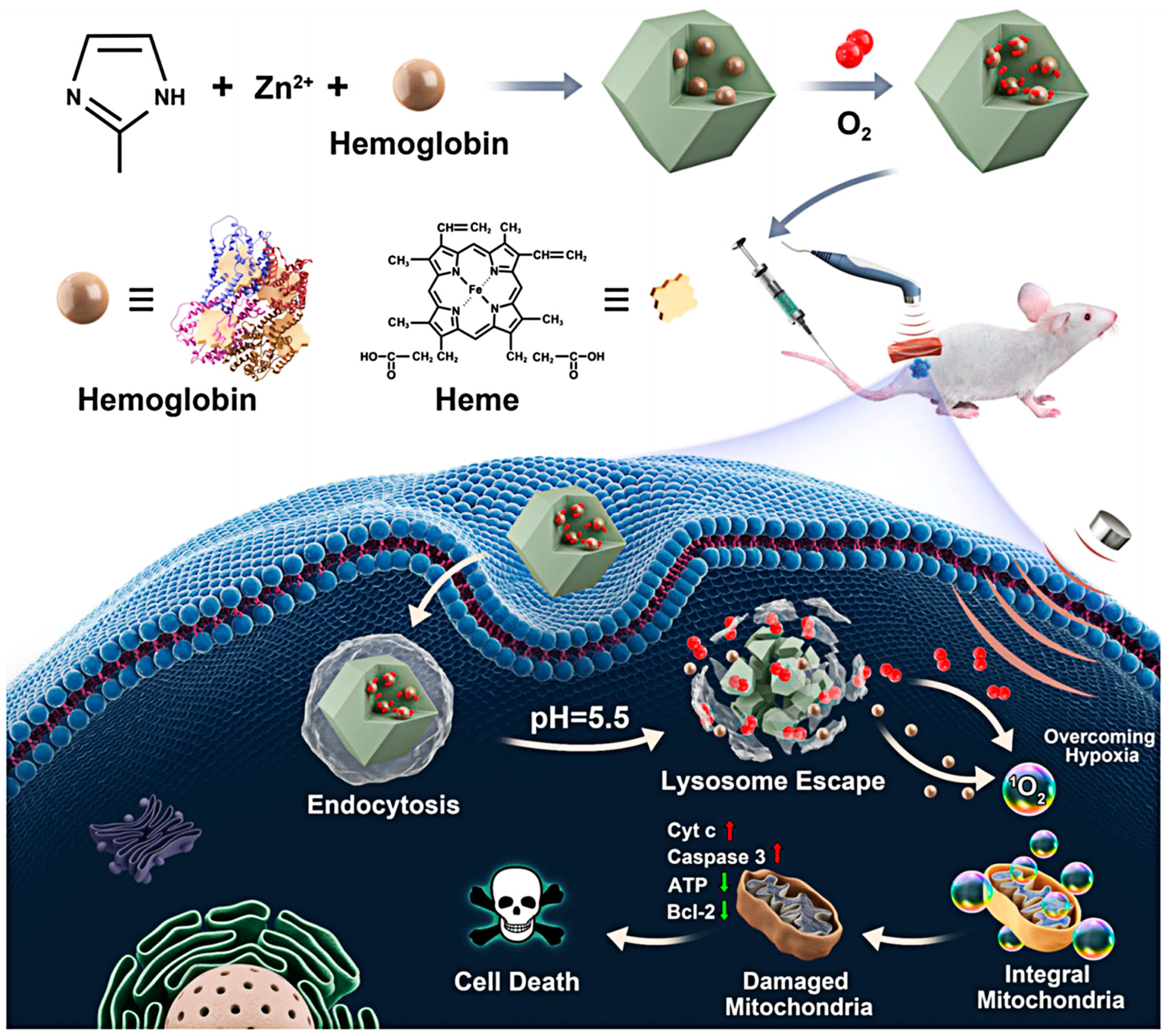 Pharmaceutics 15 02071 g005 Pharmaceutics 15 02071 g005