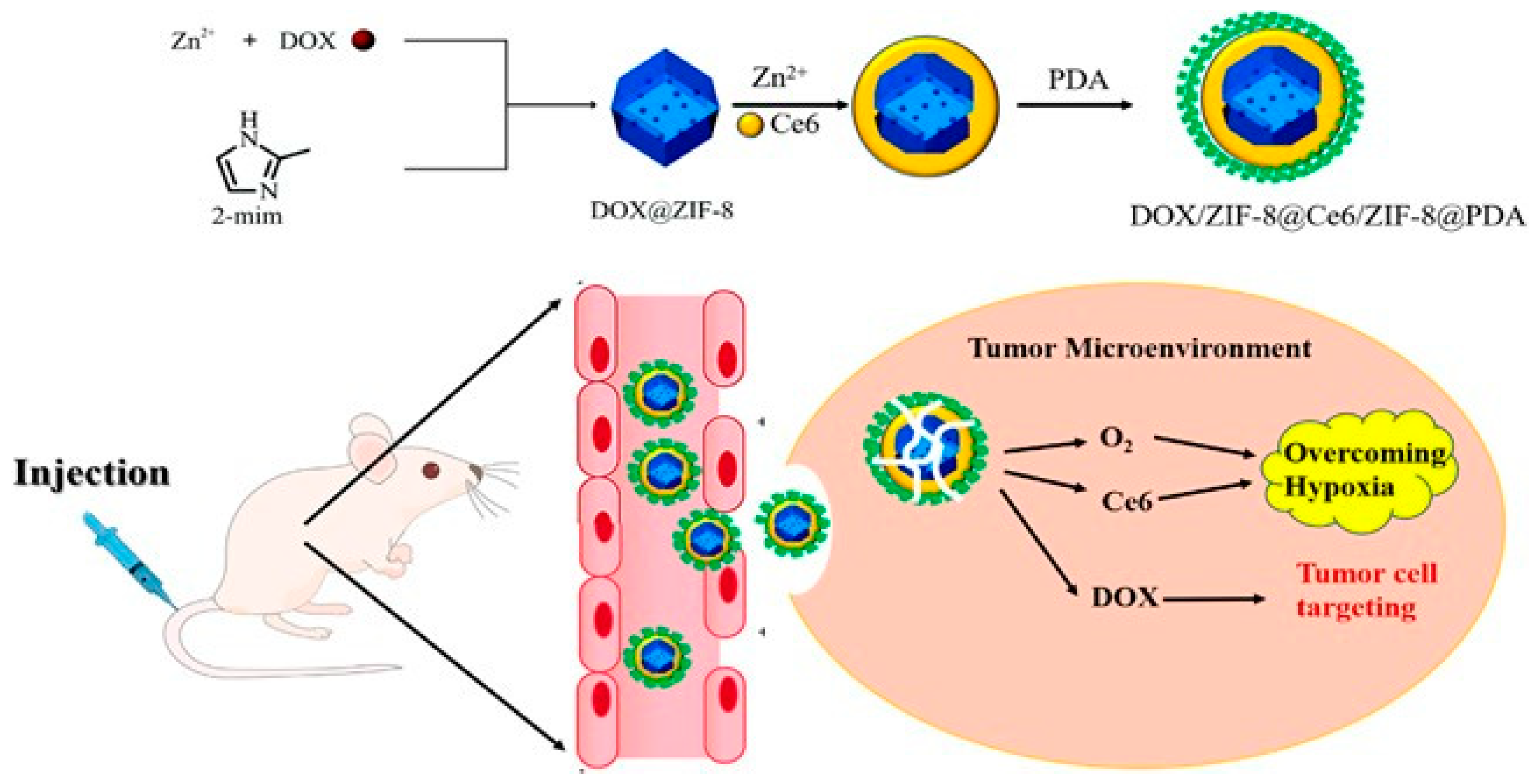 Pharmaceutics 15 02071 g007 Pharmaceutics 15 02071 g007
