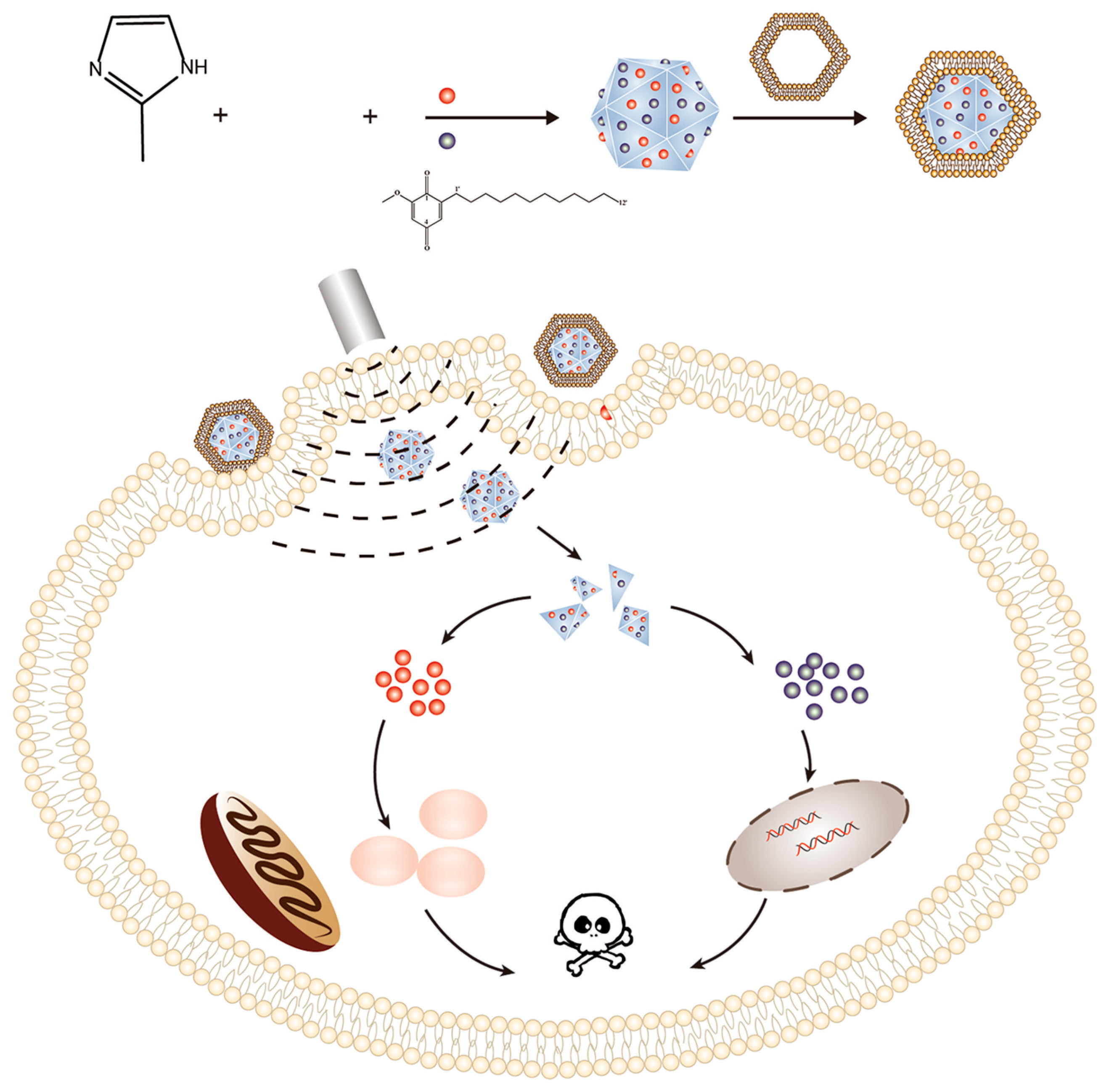 Pharmaceutics 15 02071 g009 Pharmaceutics 15 02071 g009