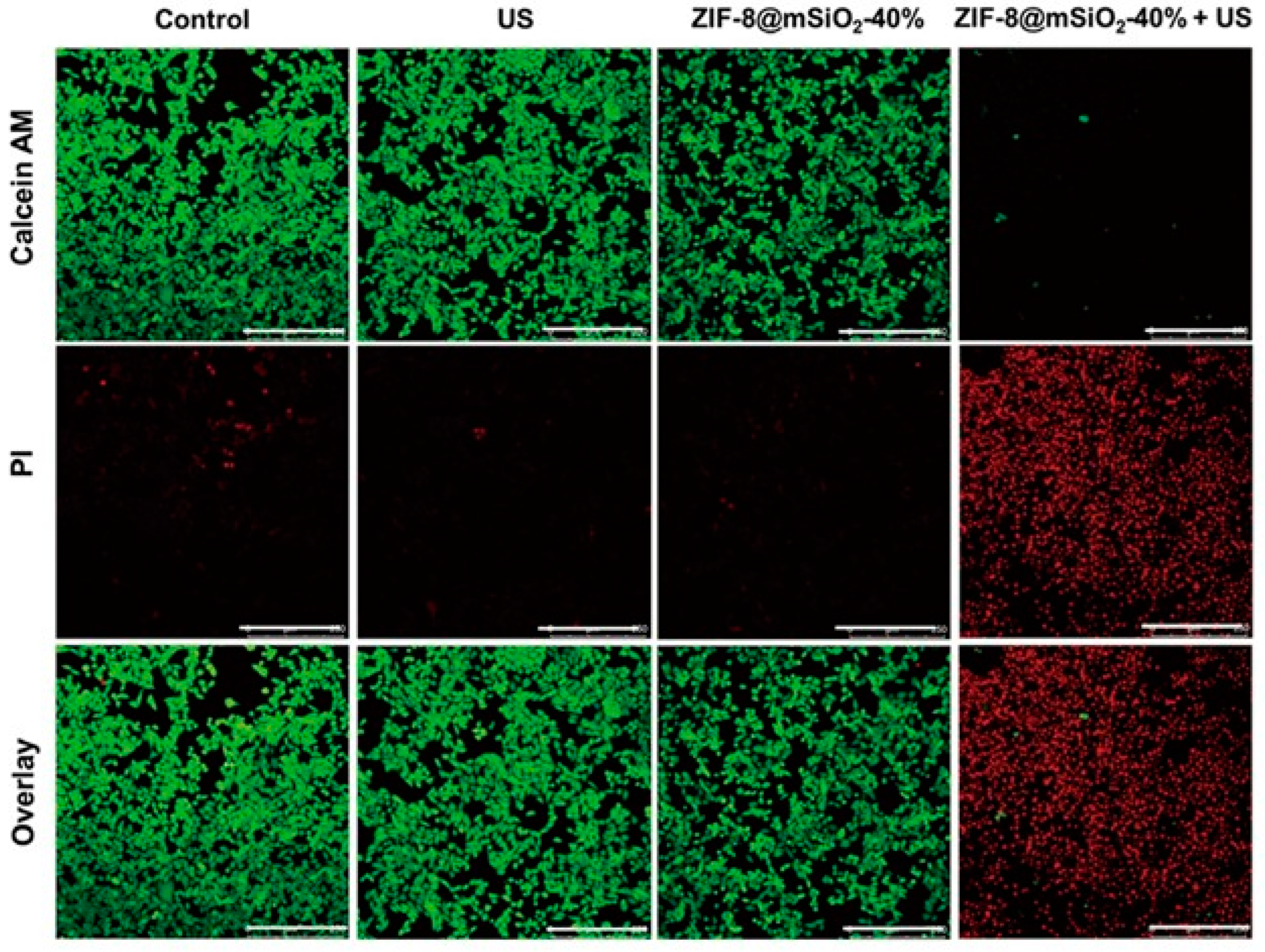 Pharmaceutics 15 02071 g012 Pharmaceutics 15 02071 g012