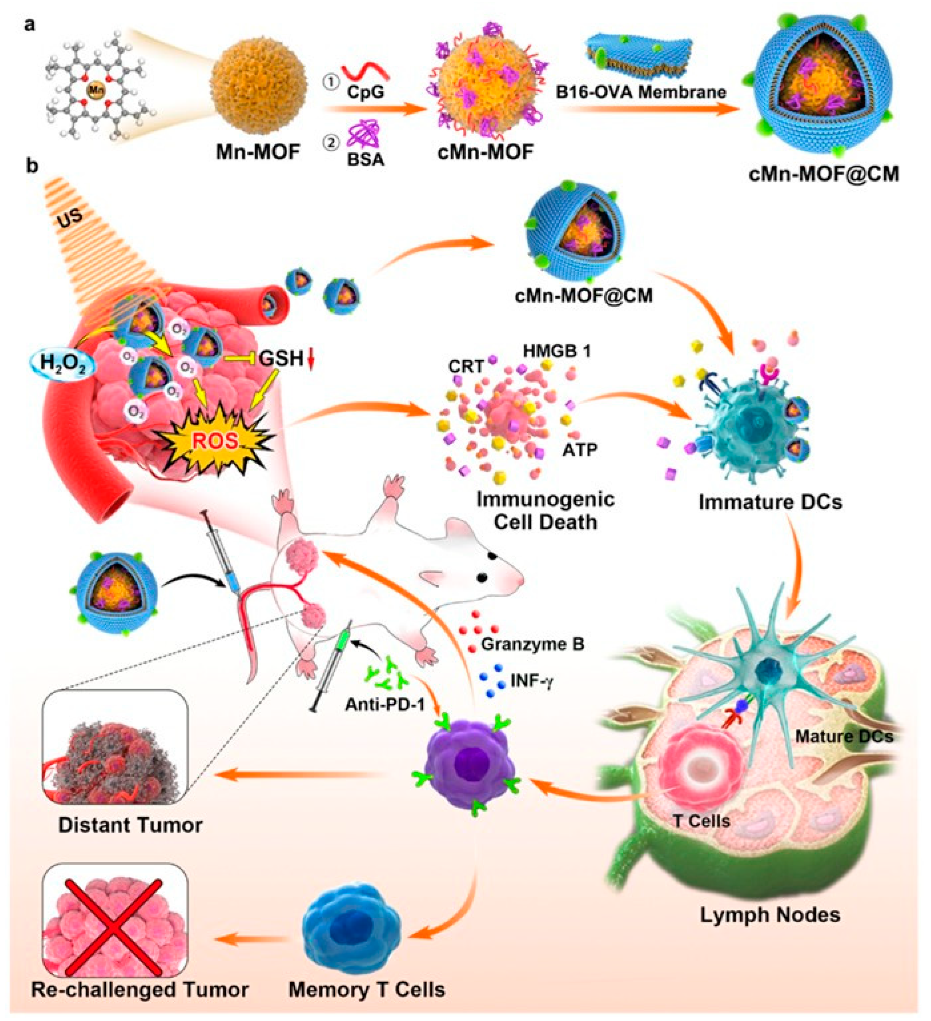 Pharmaceutics 15 02071 g015 Pharmaceutics 15 02071 g015