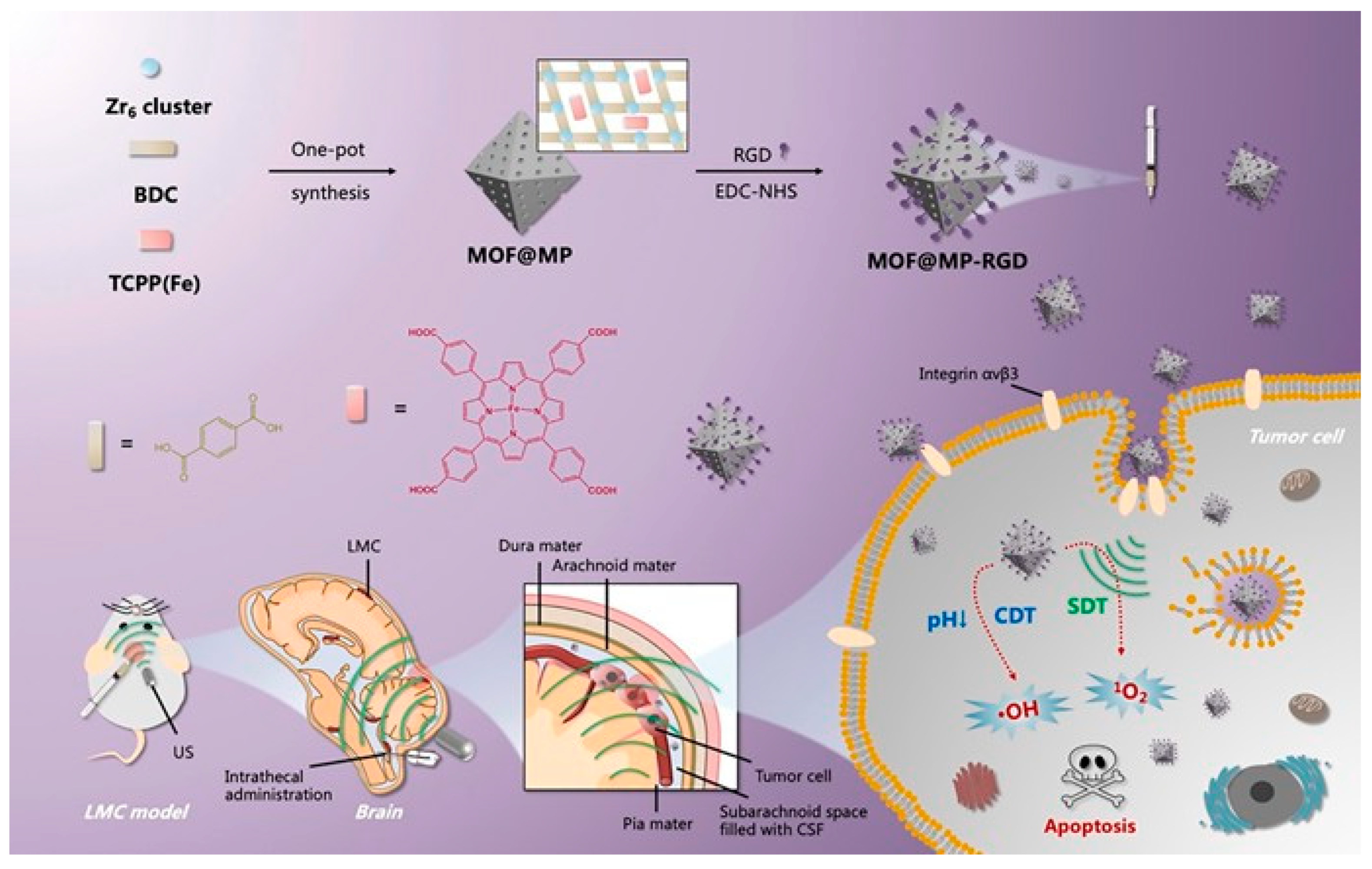Pharmaceutics 15 02071 g020 Pharmaceutics 15 02071 g020