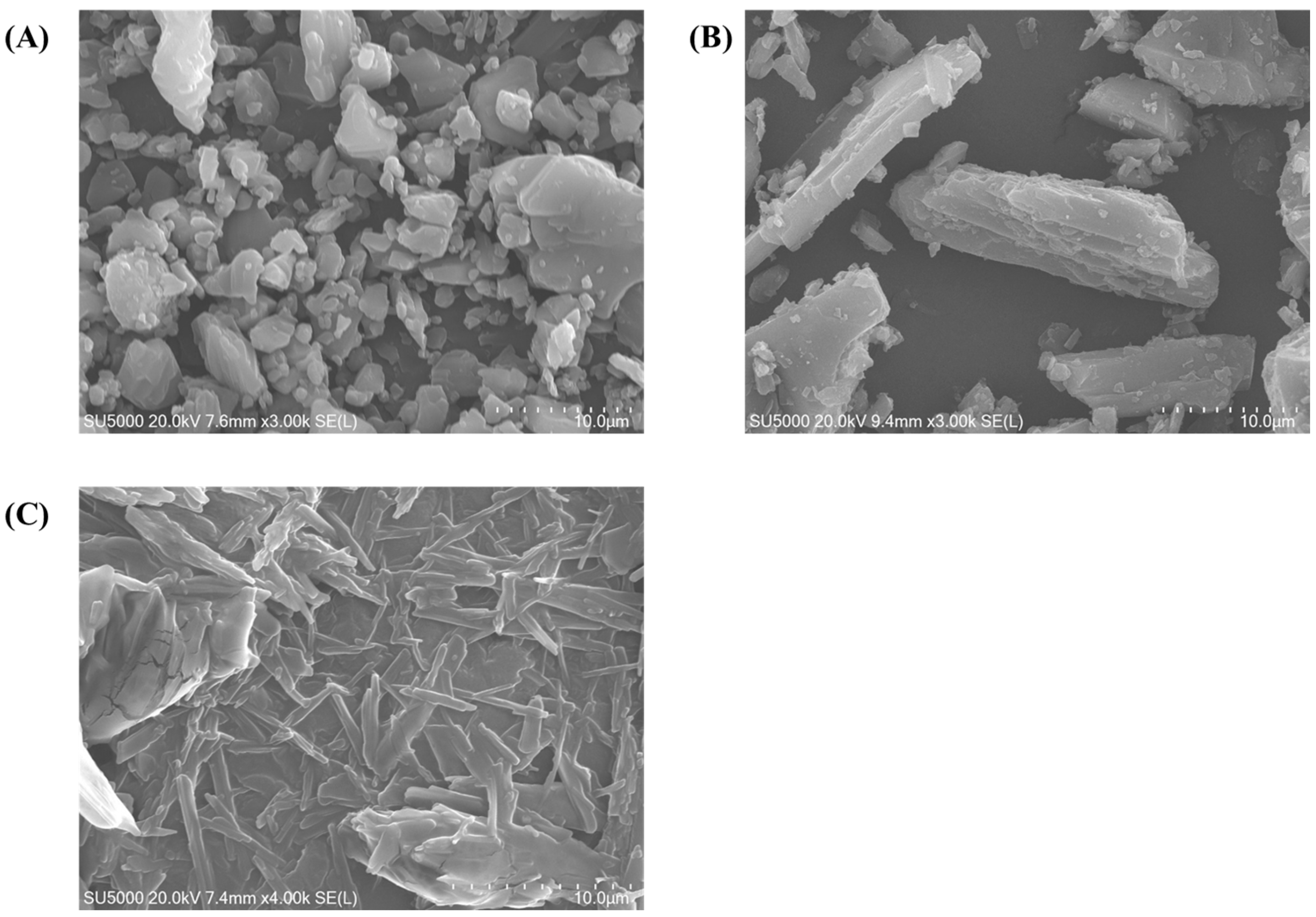 Pharmaceutics 15 02073 g003 Pharmaceutics 15 02073 g003