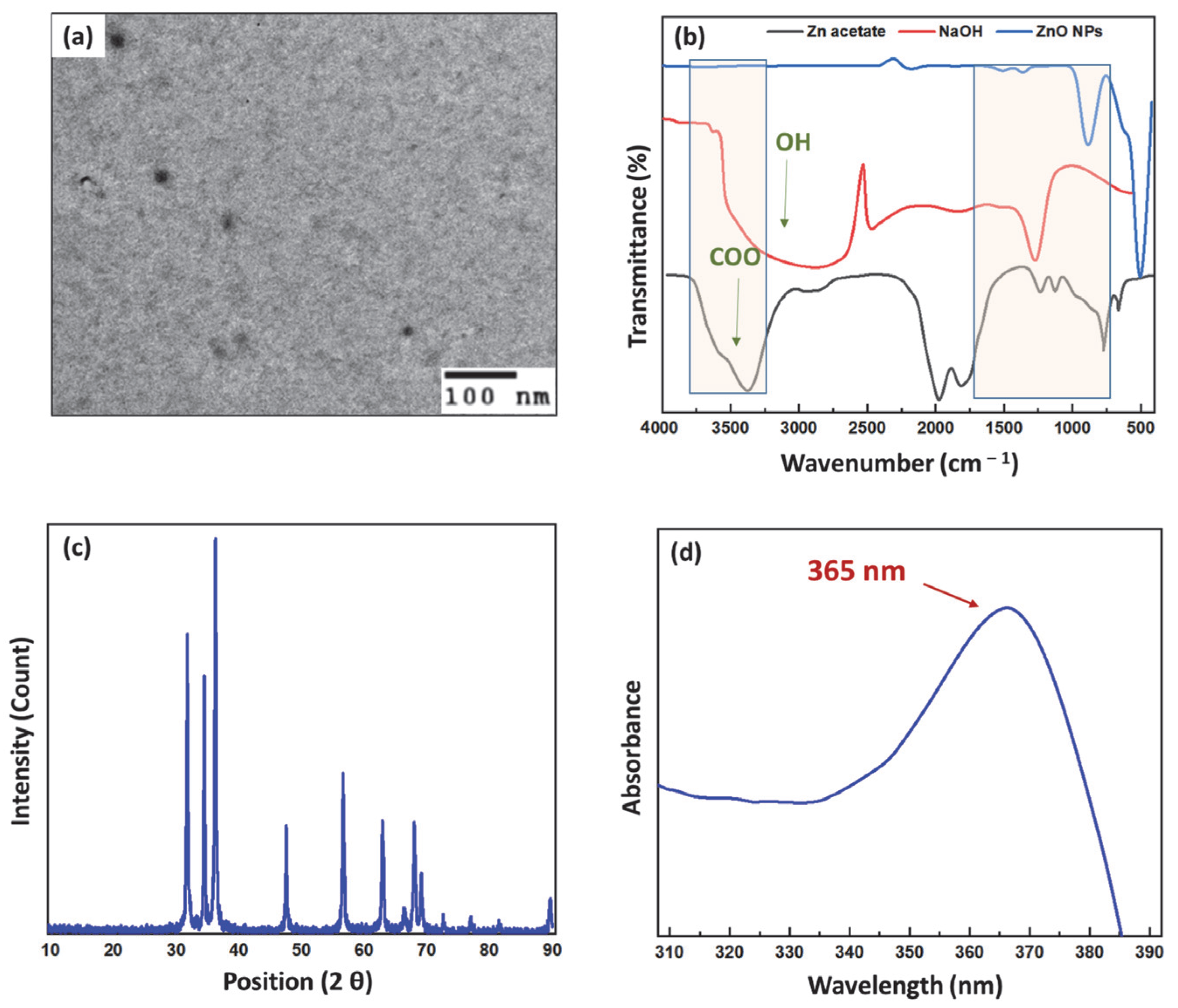 Pharmaceutics 15 02074 g002