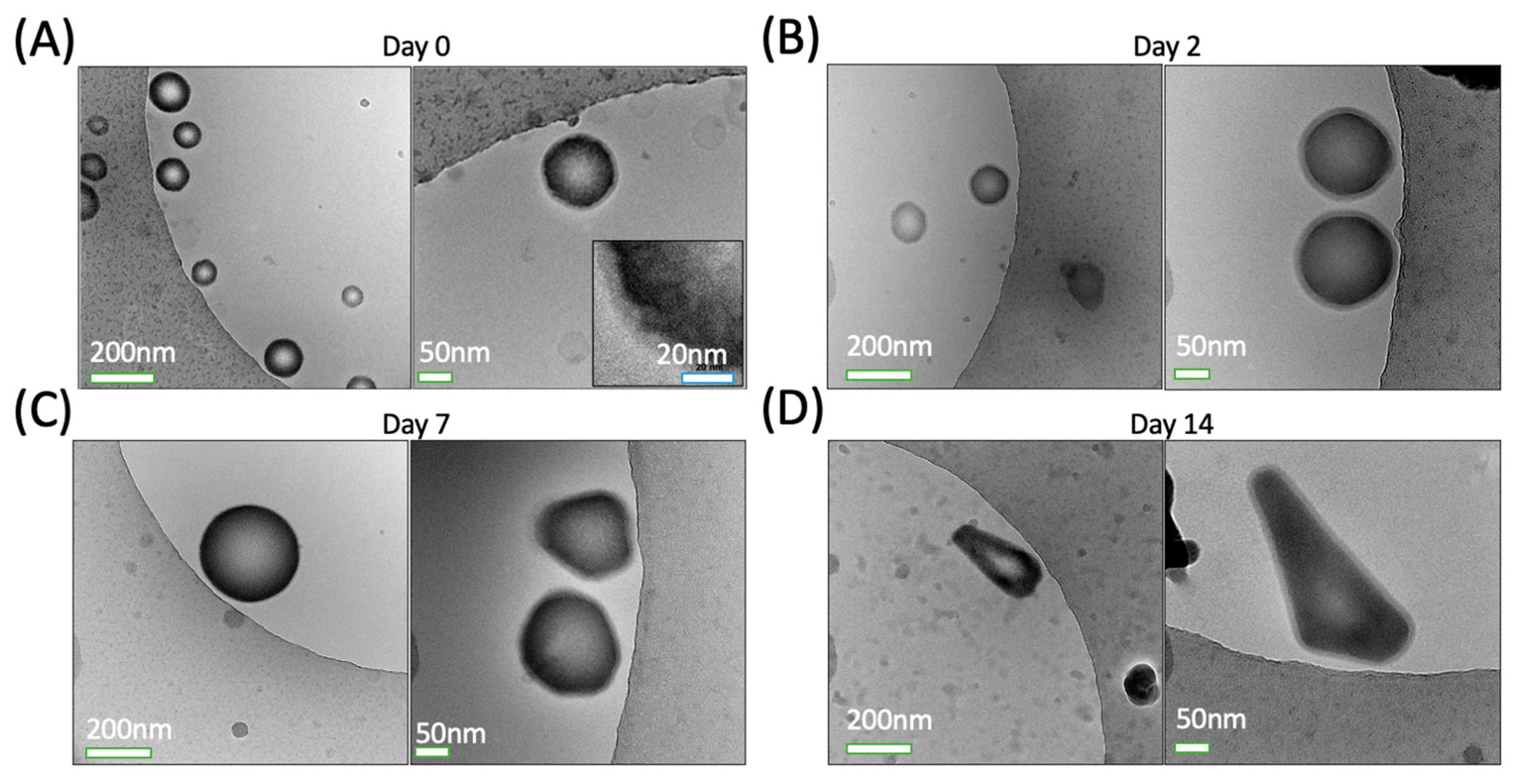 Pharmaceutics 15 02077 g002