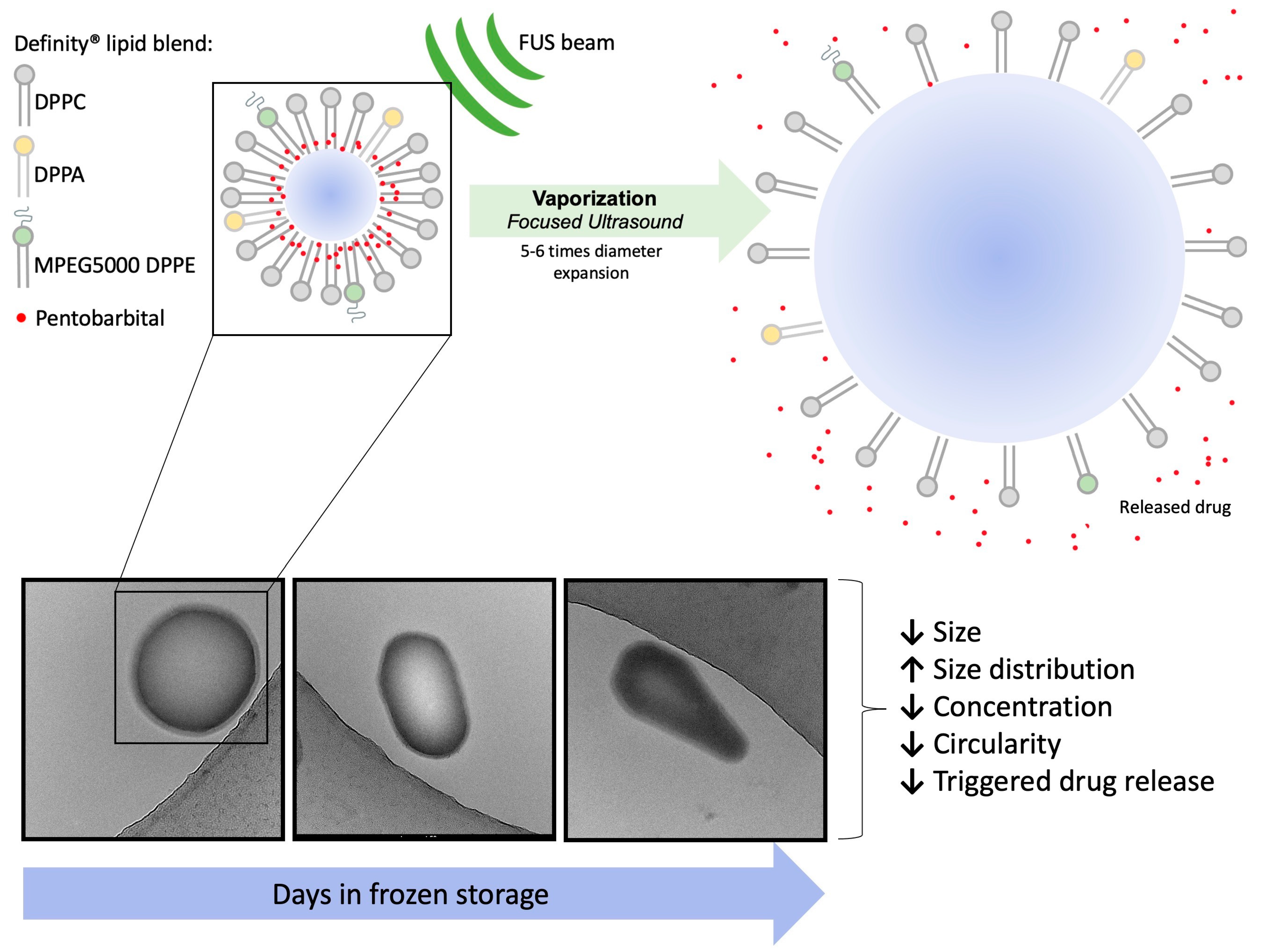 Pharmaceutics 15 02077 g009