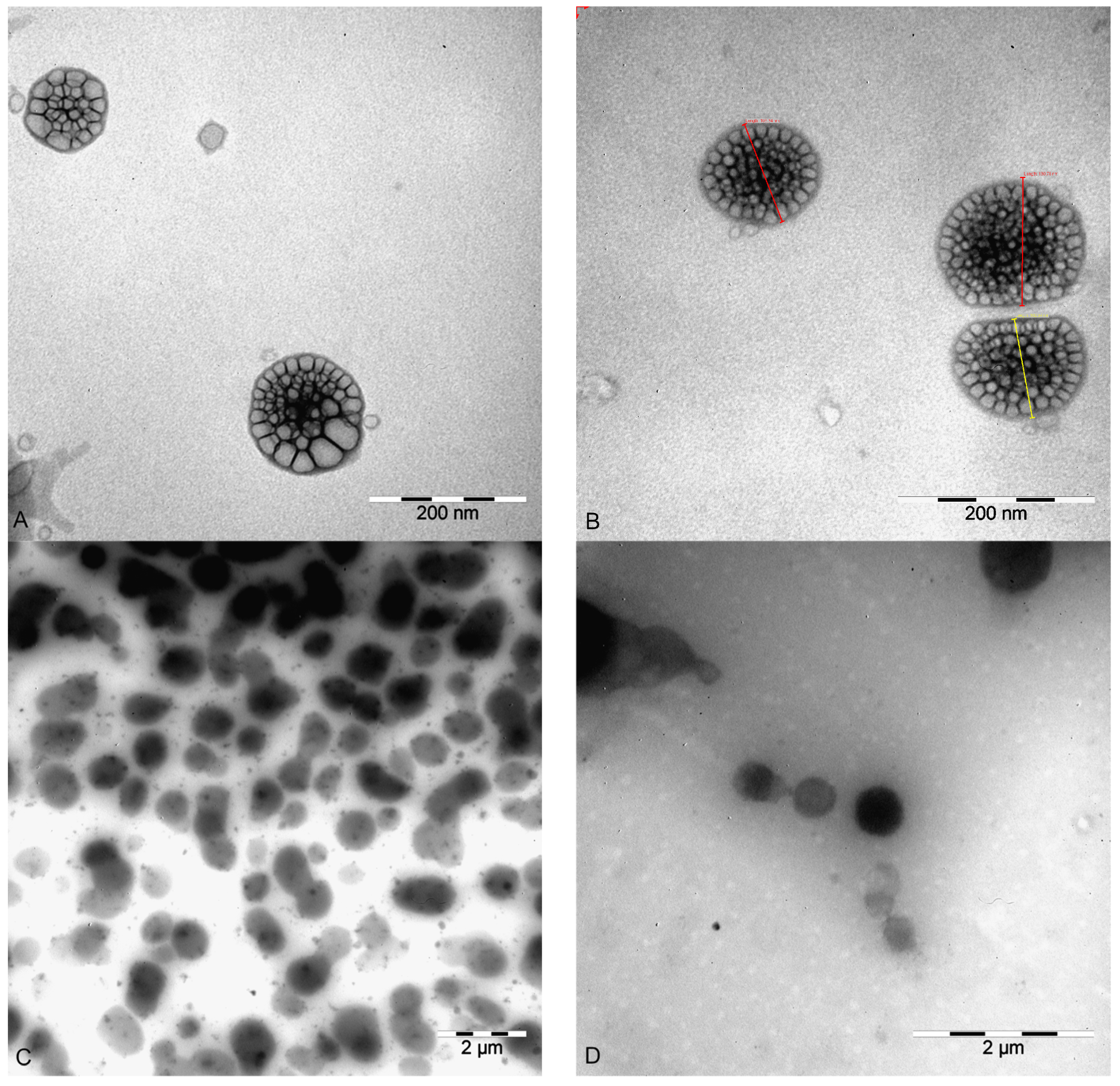 Pharmaceutics 15 02082 g001 Pharmaceutics 15 02082 g001
