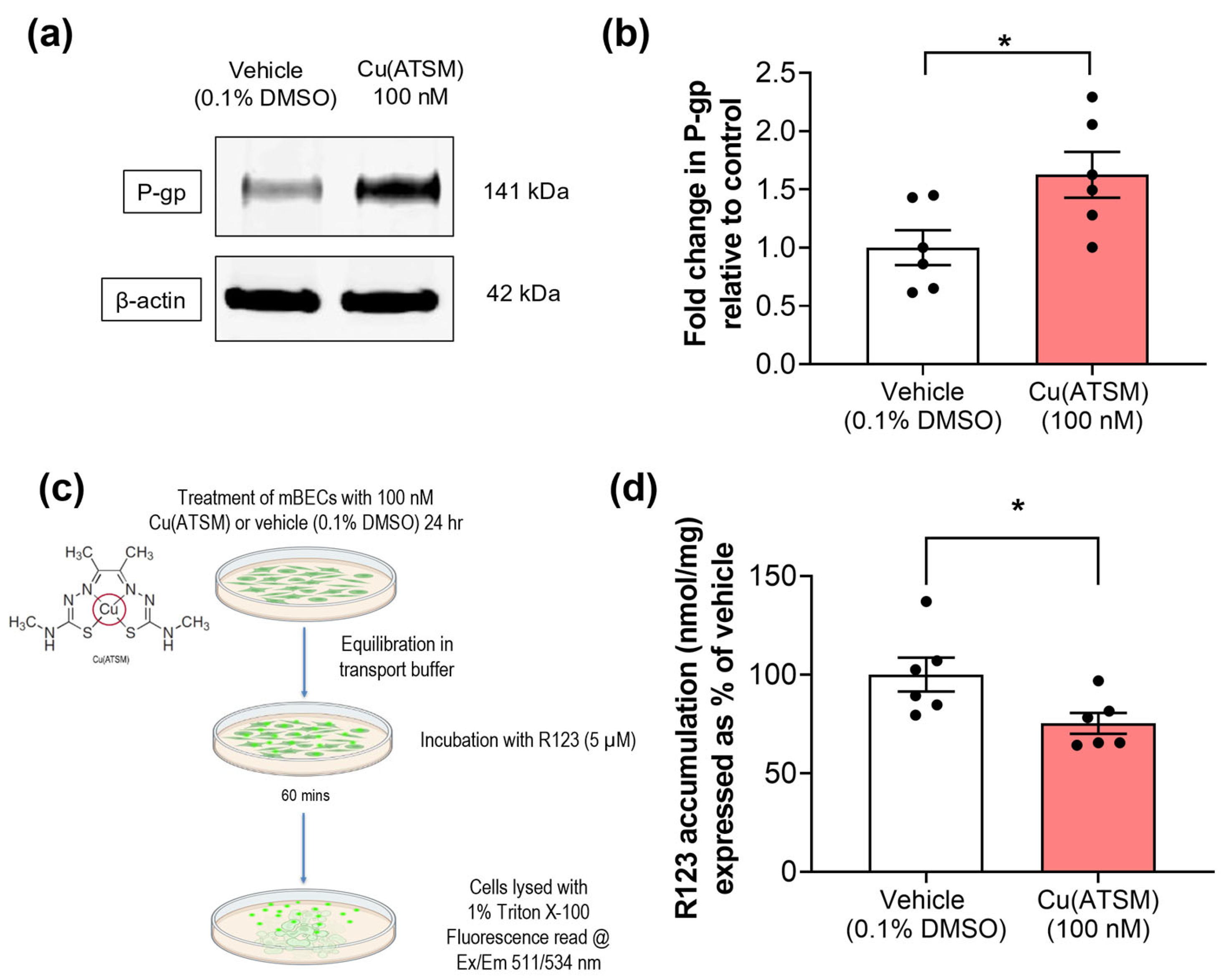 Pharmaceutics 15 02084 g002 Pharmaceutics 15 02084 g002