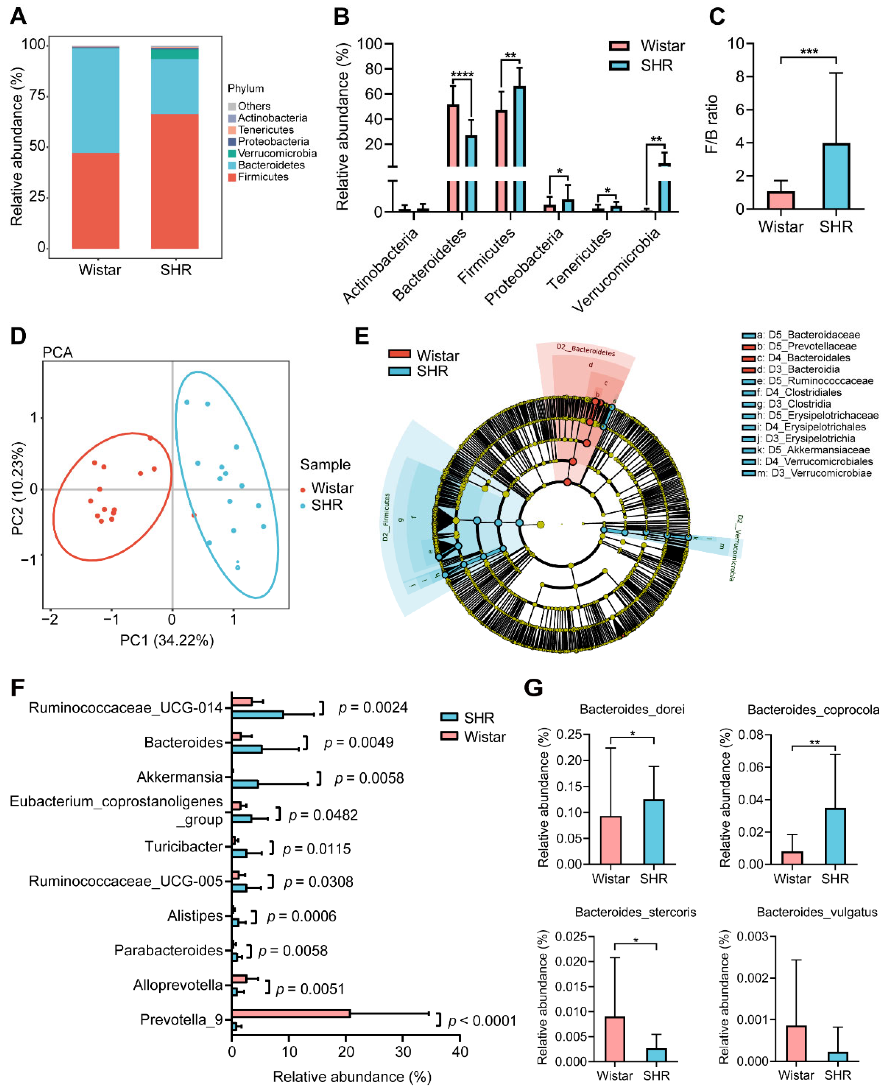 Pharmaceutics 15 02085 g002 Pharmaceutics 15 02085 g002