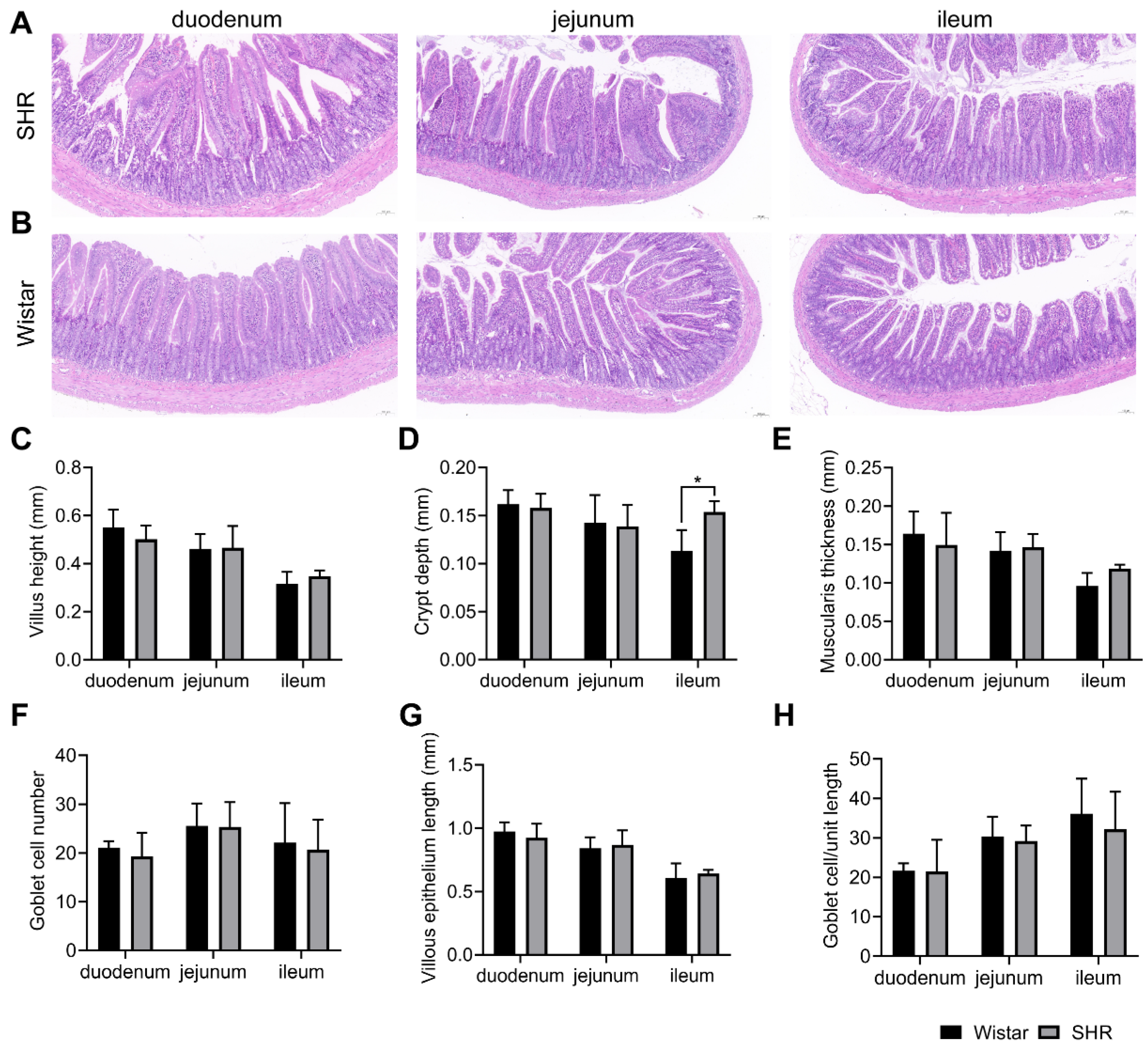 Pharmaceutics 15 02085 g009 Pharmaceutics 15 02085 g009