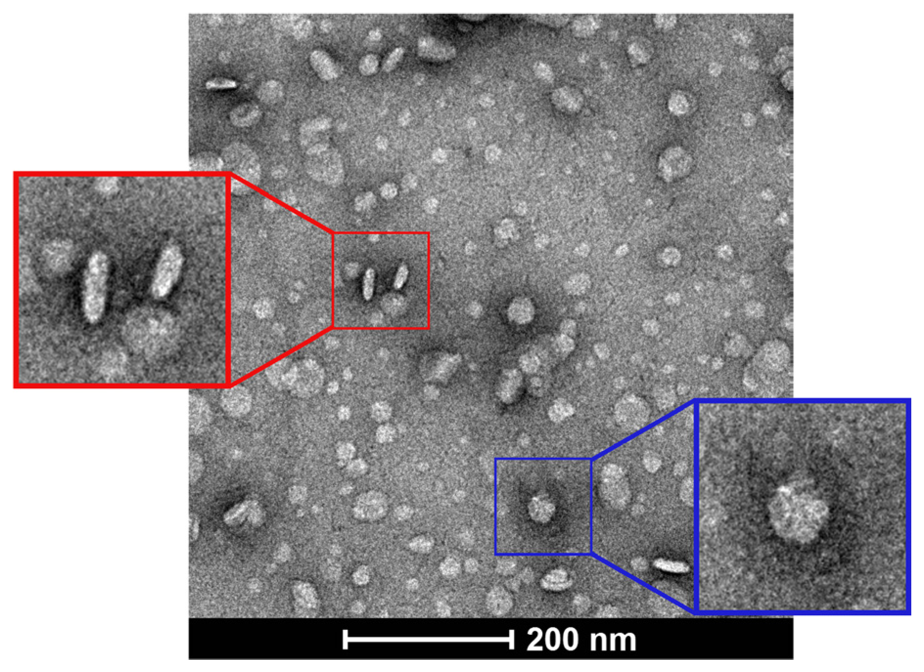 Pharmaceutics 15 02086 g001