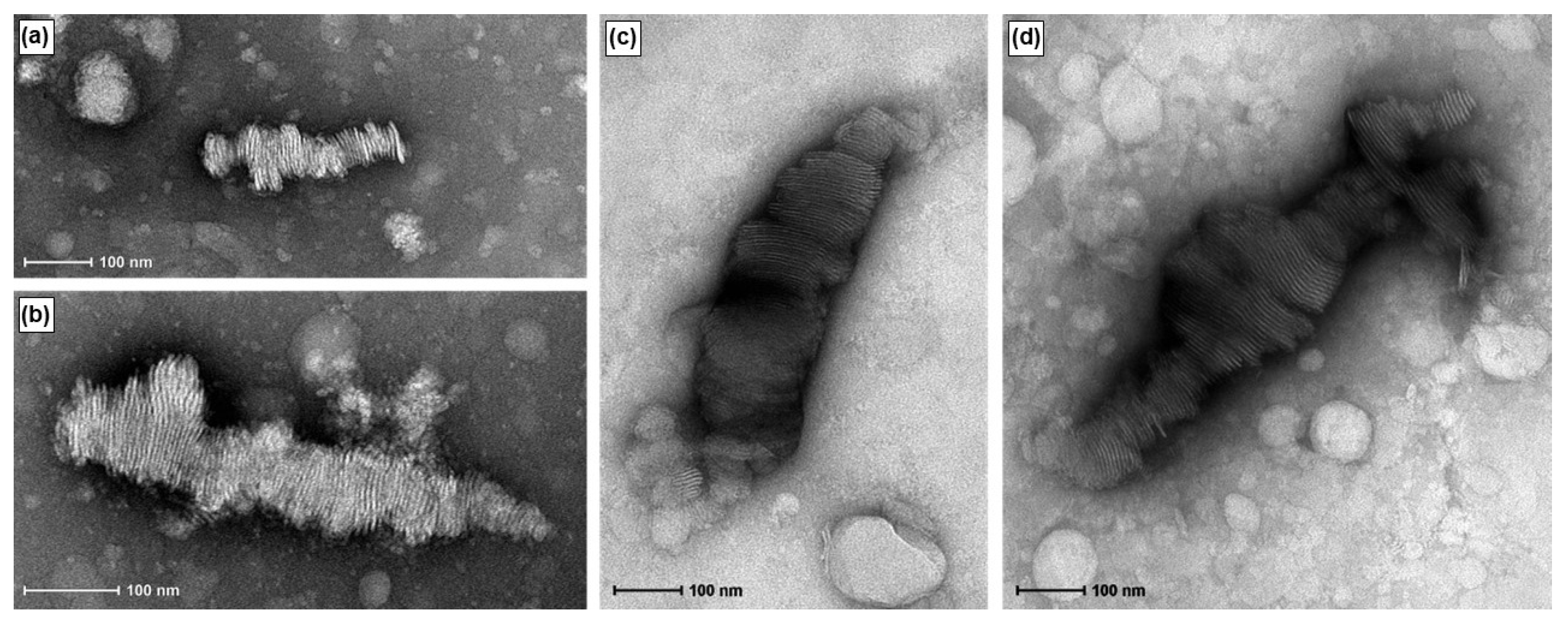 Pharmaceutics 15 02086 g006
