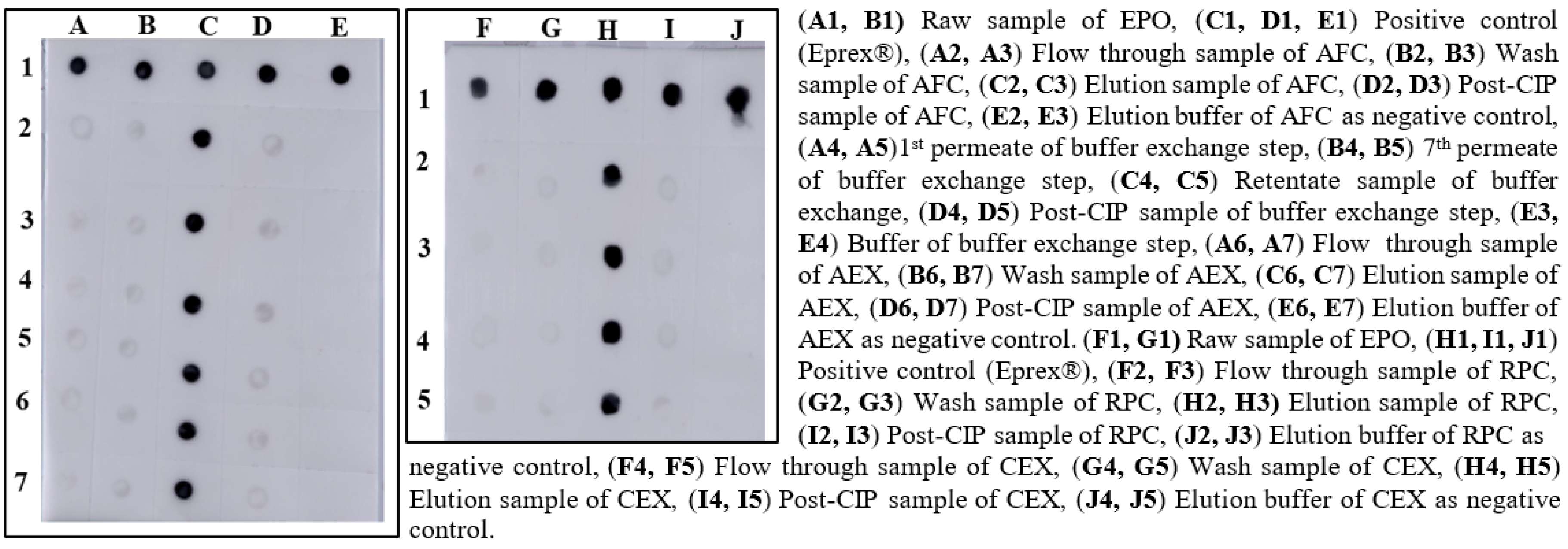 Pharmaceutics 15 02087 g001 Pharmaceutics 15 02087 g001