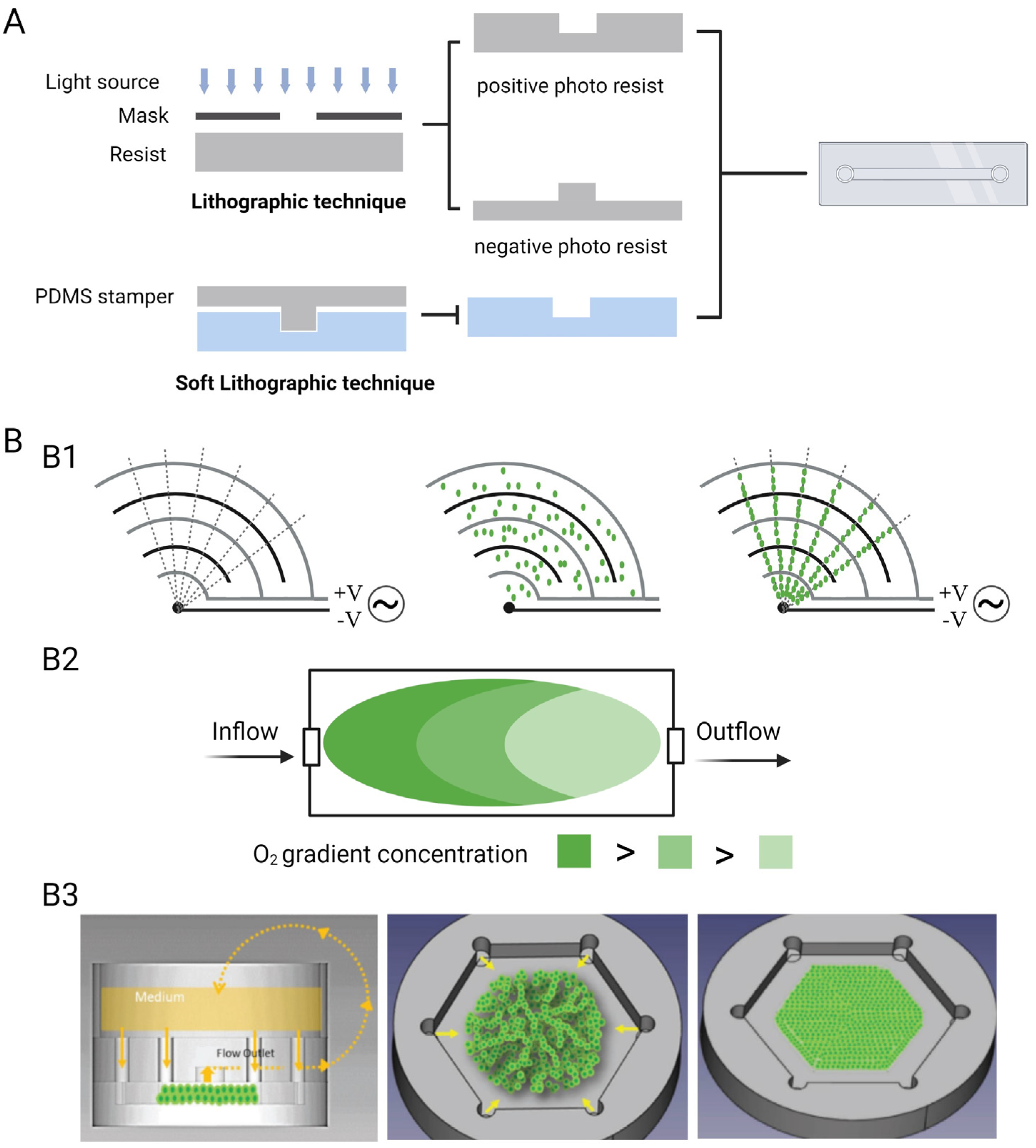 Pharmaceutics 15 02094 g002 Pharmaceutics 15 02094 g002