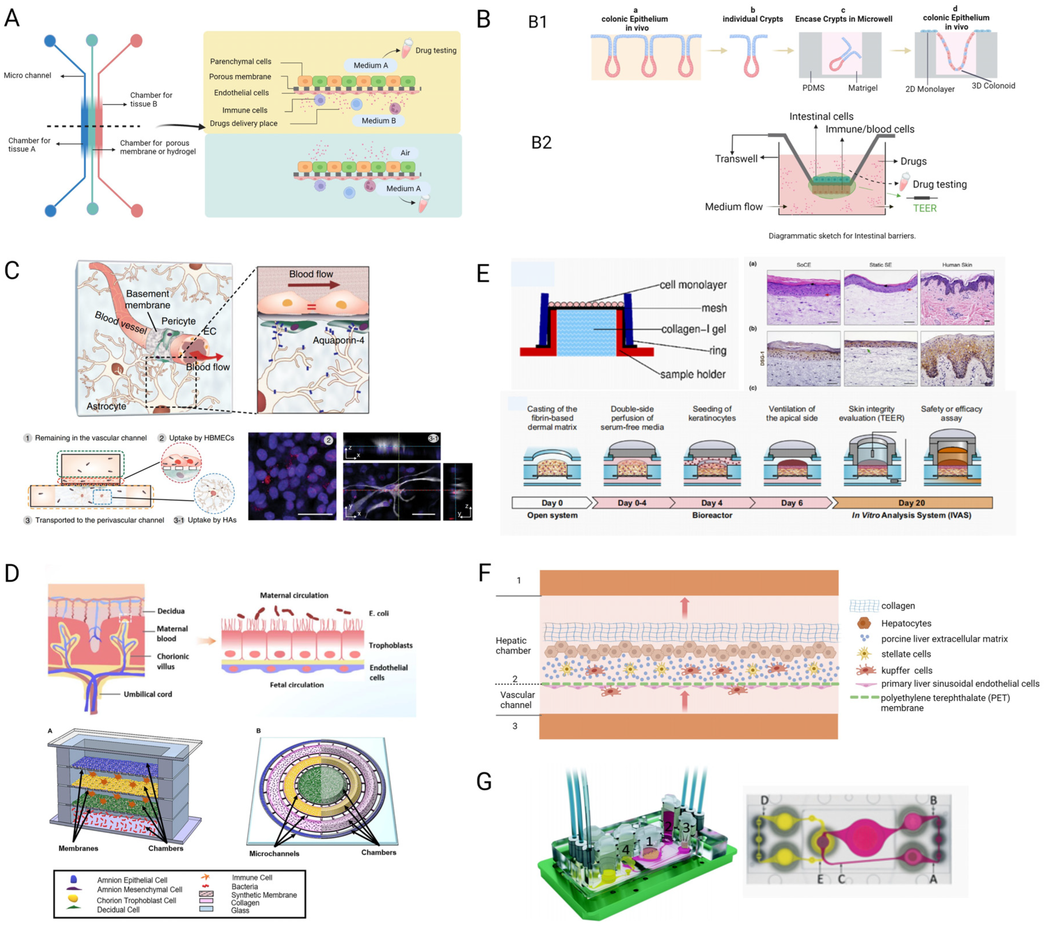 Pharmaceutics 15 02094 g003 Pharmaceutics 15 02094 g003
