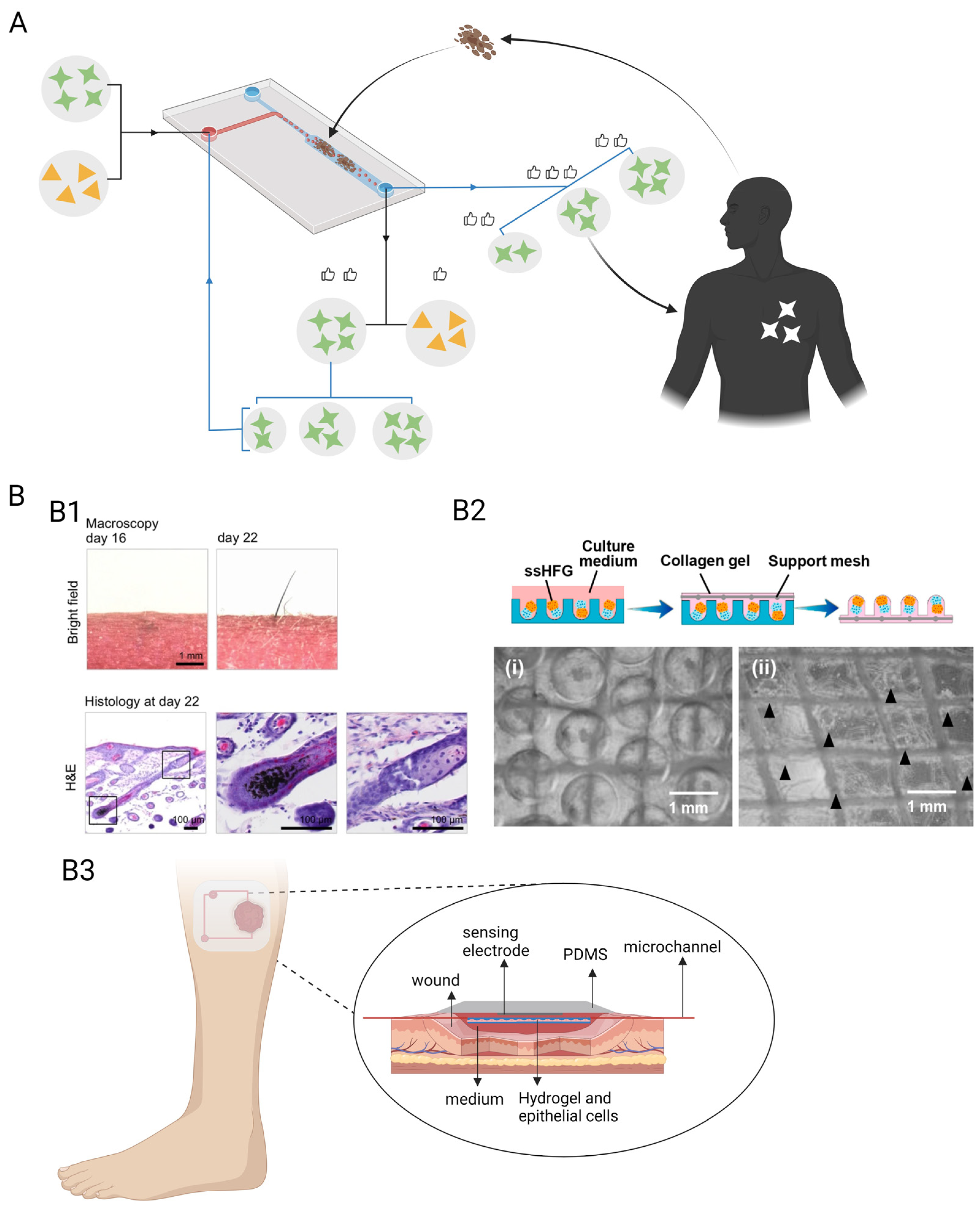 Pharmaceutics 15 02094 g006 Pharmaceutics 15 02094 g006