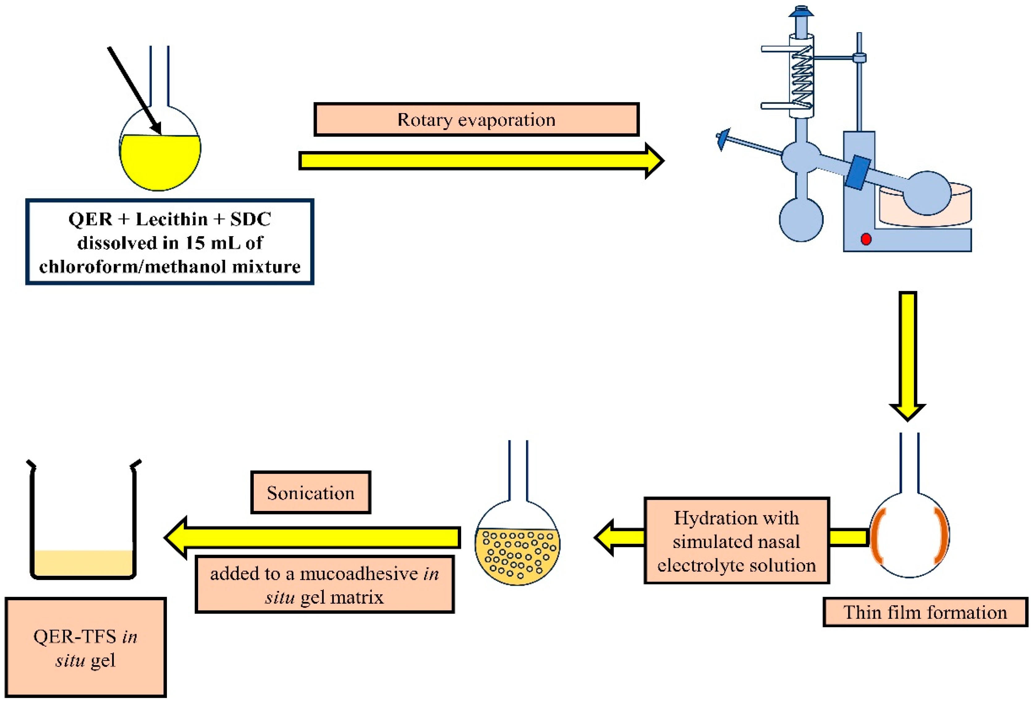Pharmaceutics 15 02095 g001