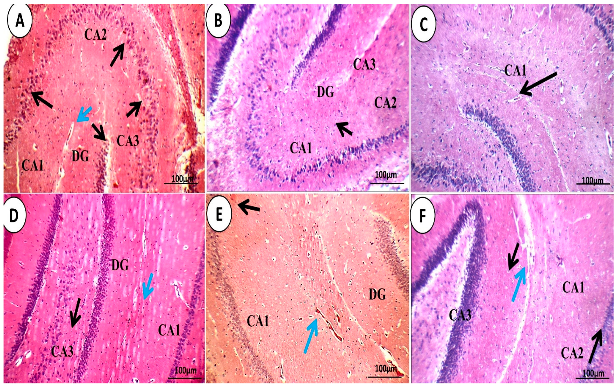 Pharmaceutics 15 02095 g012