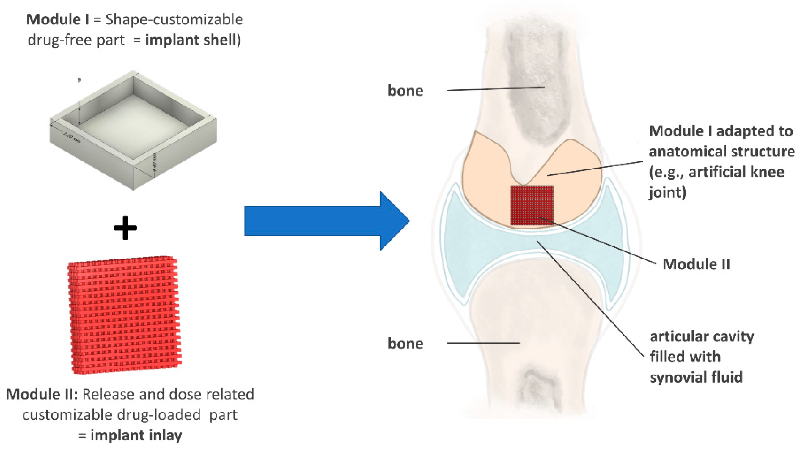 Pharmaceutics 15 02097 g003
