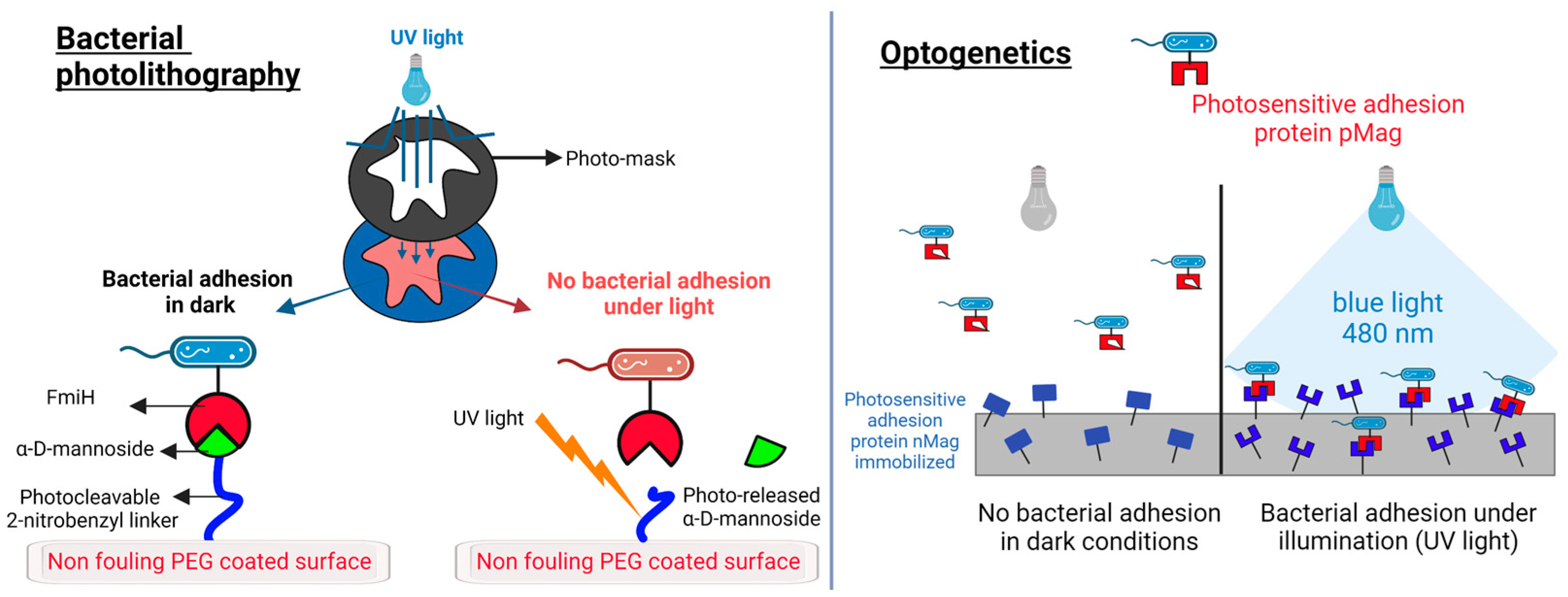 Pharmaceutics 15 02106 g003 Pharmaceutics 15 02106 g003