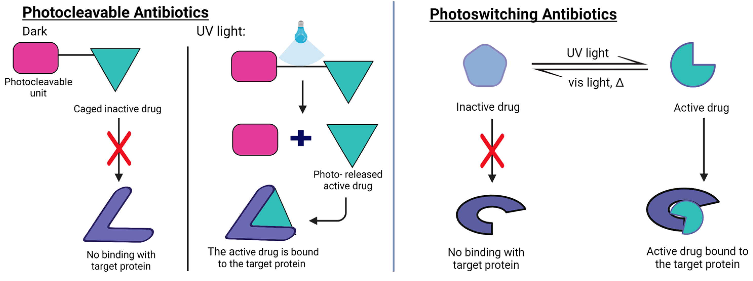 Pharmaceutics 15 02106 g005 Pharmaceutics 15 02106 g005