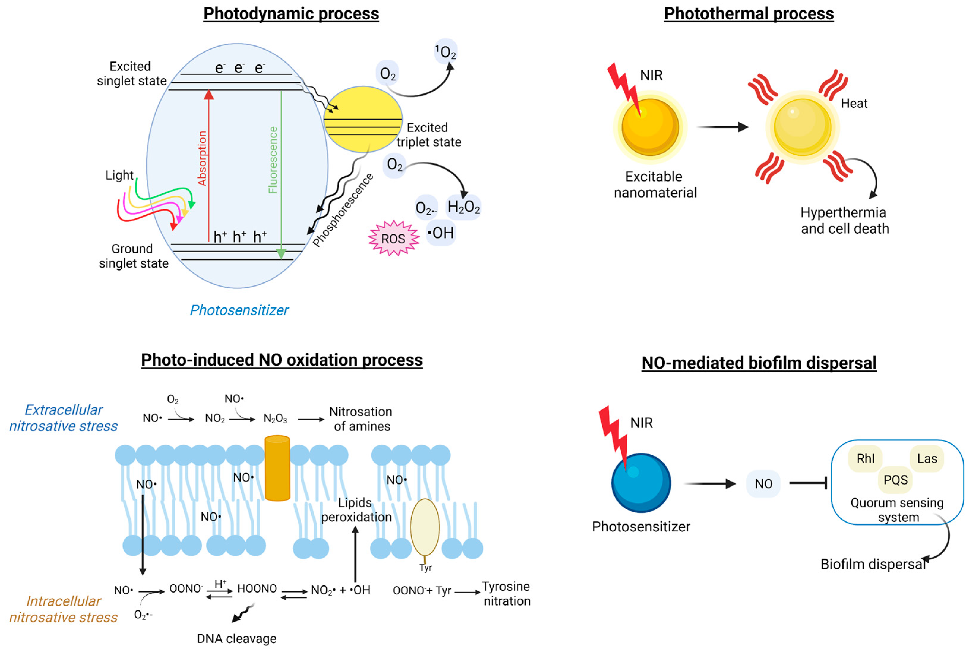 Pharmaceutics 15 02106 g007 Pharmaceutics 15 02106 g007