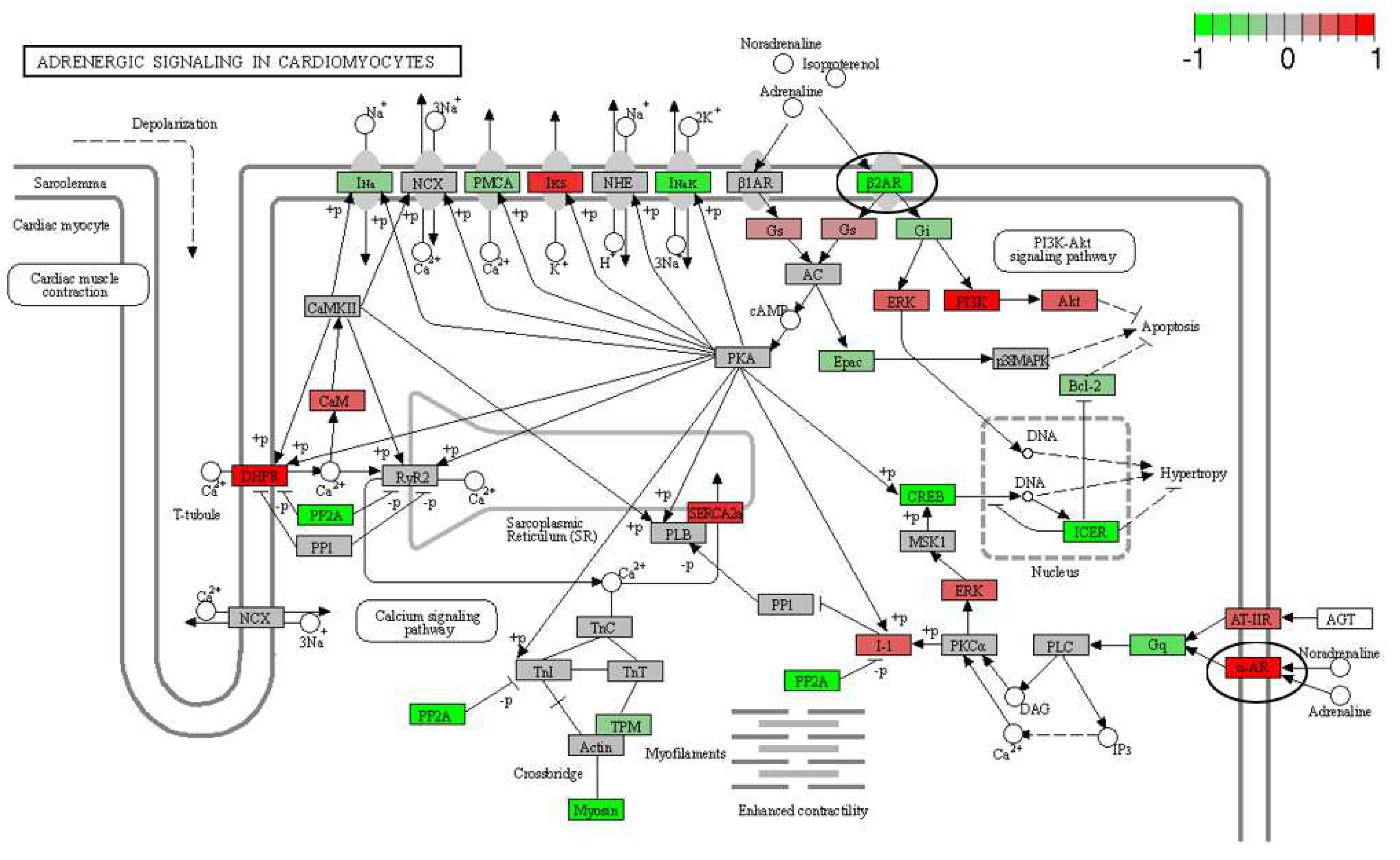 Pharmaceutics 15 02107 g006 Pharmaceutics 15 02107 g006