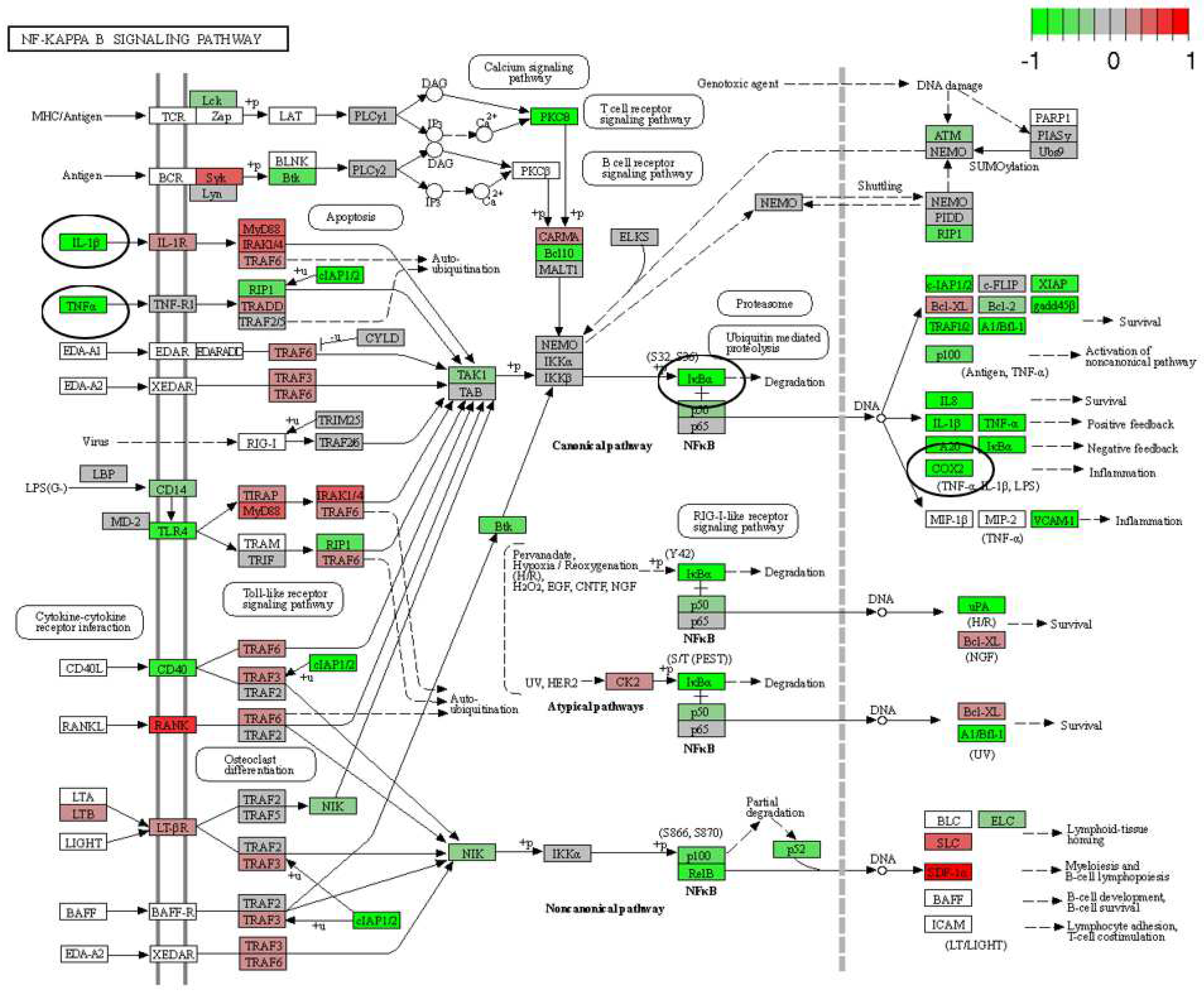 Pharmaceutics 15 02107 g007 Pharmaceutics 15 02107 g007