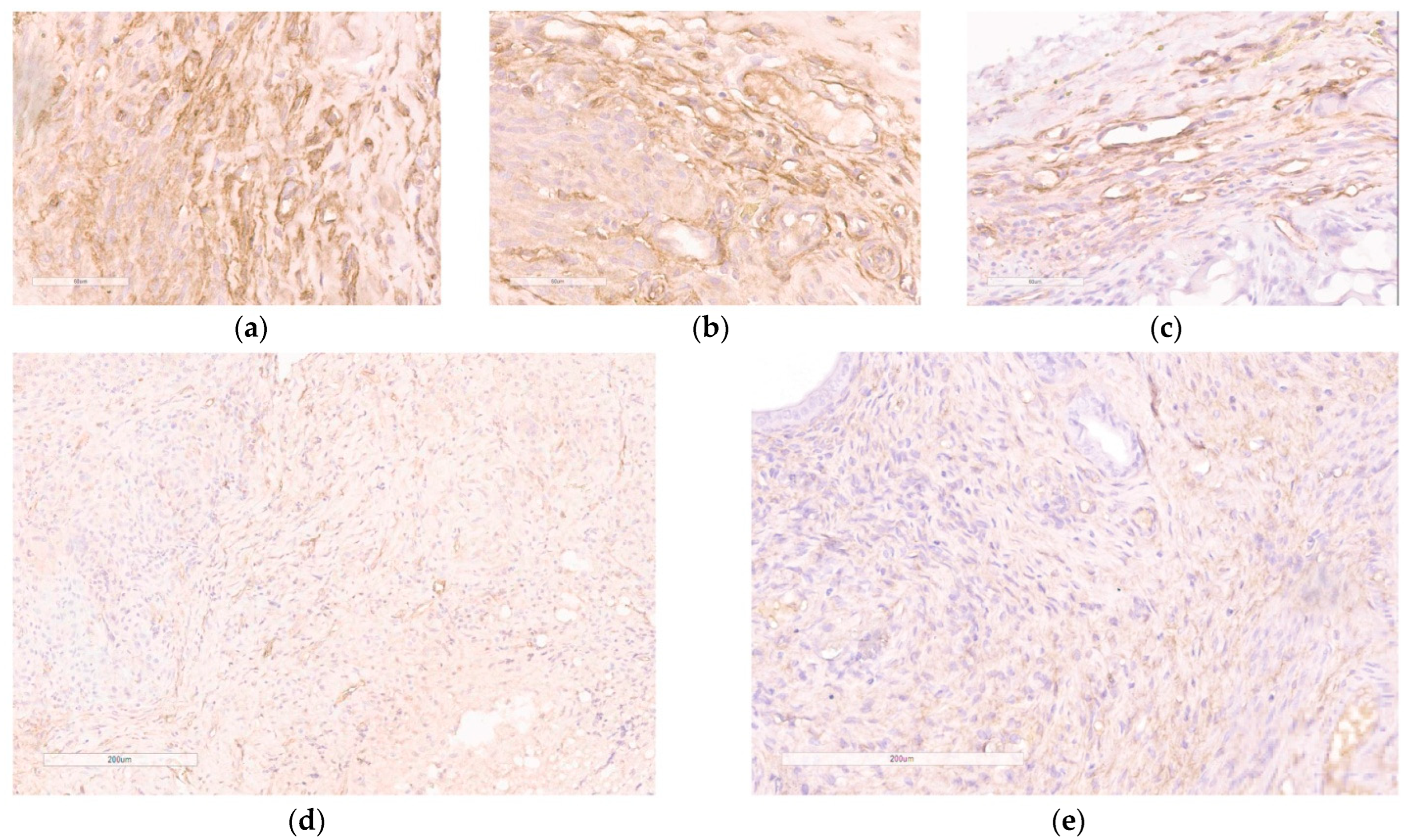 Pharmaceutics 15 02108 g009