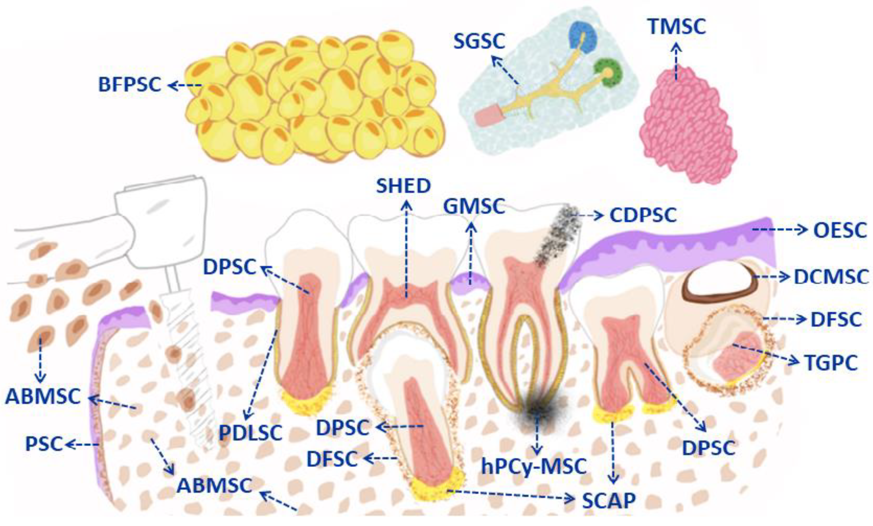 Pharmaceutics 15 02109 g002 Pharmaceutics 15 02109 g002