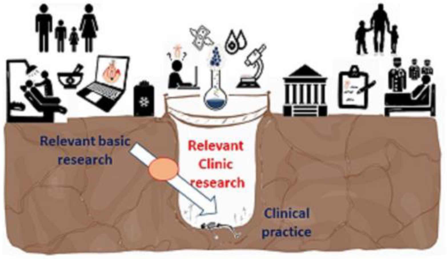 Pharmaceutics 15 02109 g003 Pharmaceutics 15 02109 g003