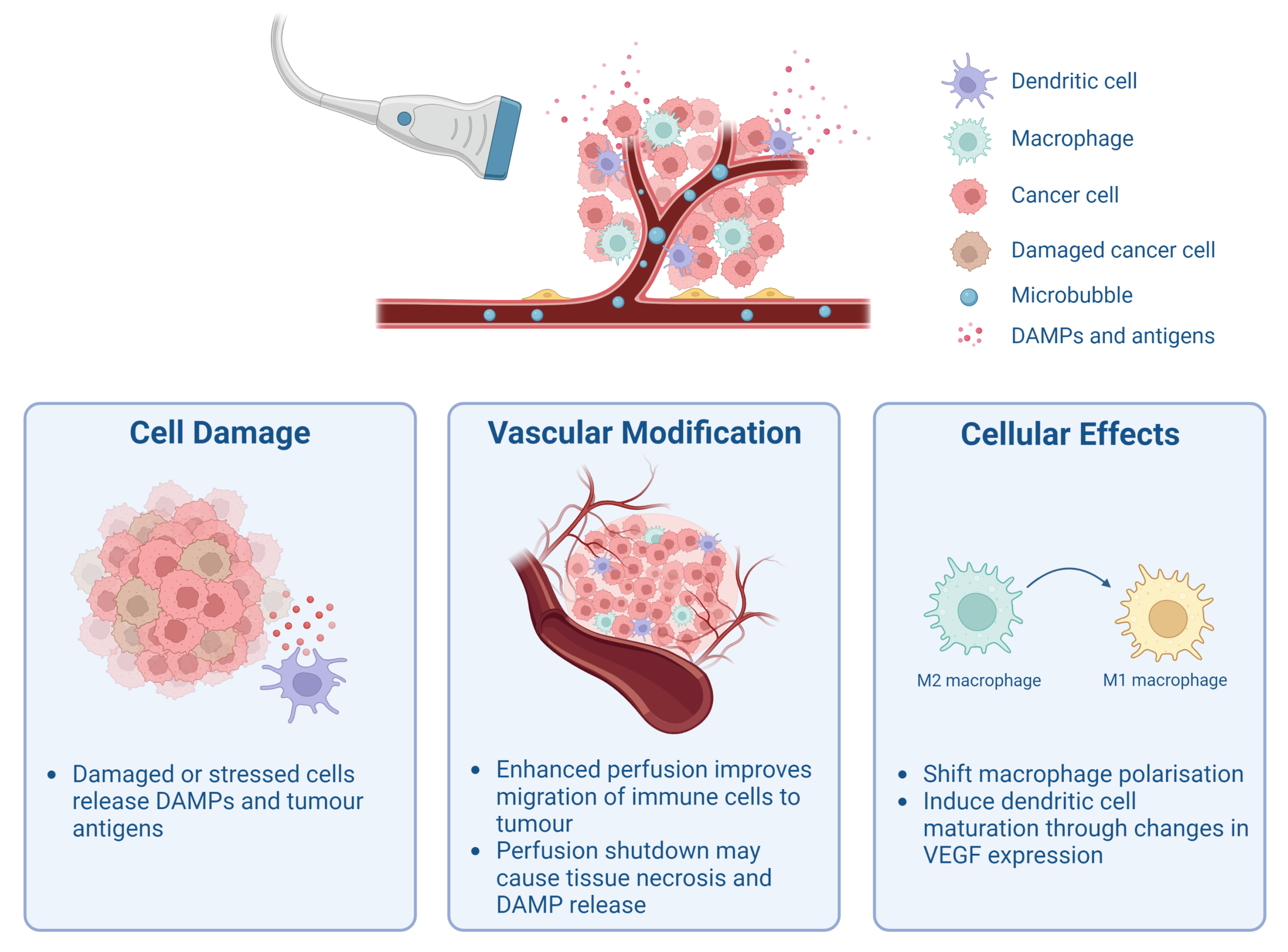 Pharmaceutics 15 02110 g001 Pharmaceutics 15 02110 g001