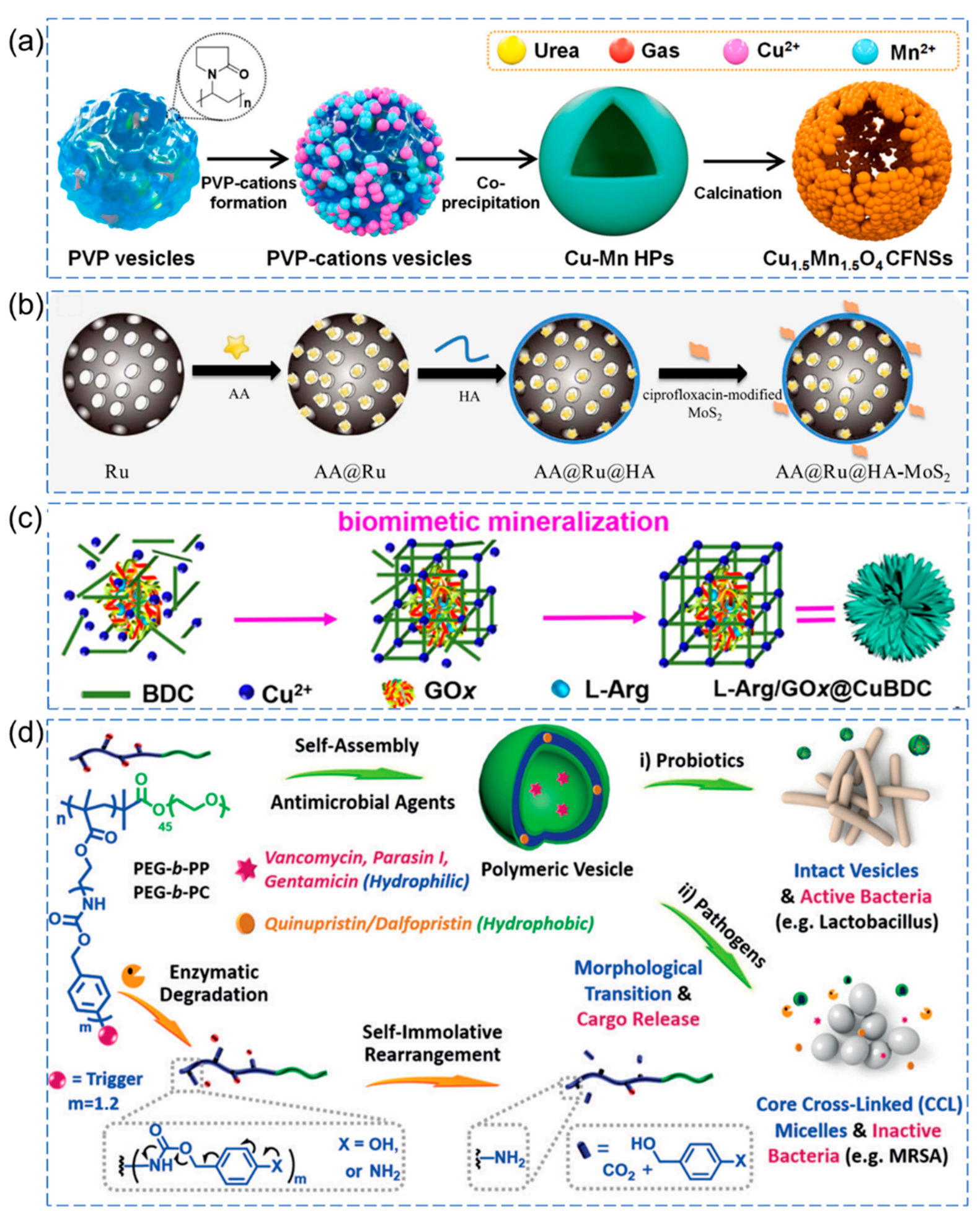 Pharmaceutics 15 02113 g005 Pharmaceutics 15 02113 g005