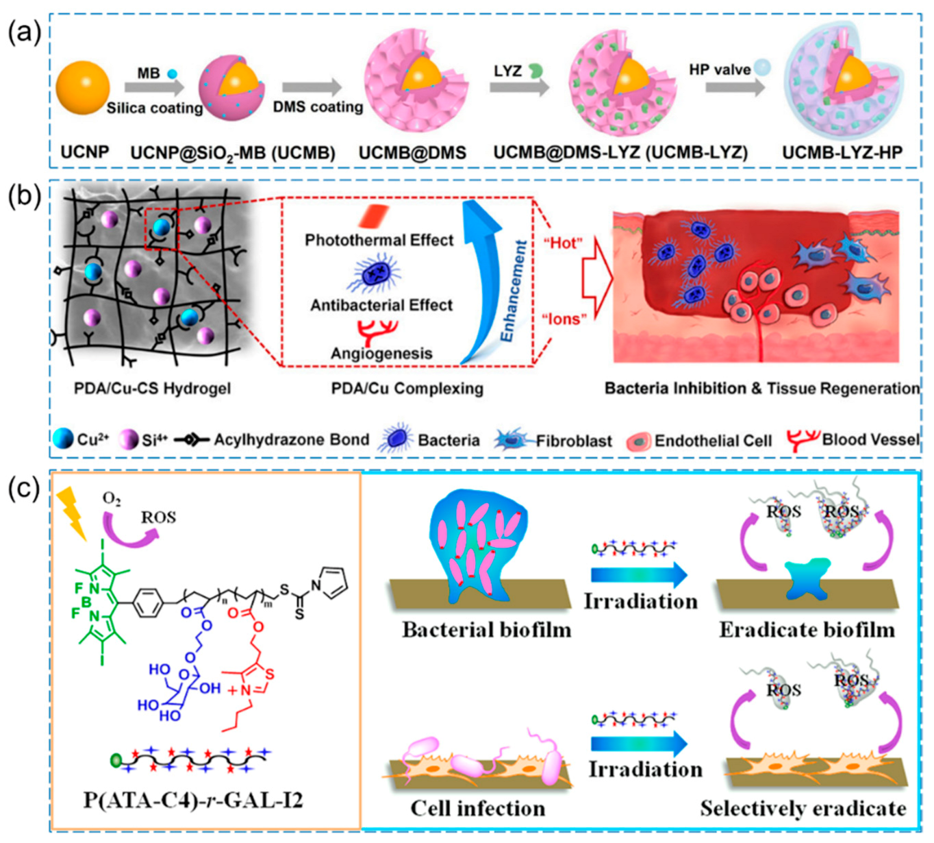 Pharmaceutics 15 02113 g007 Pharmaceutics 15 02113 g007