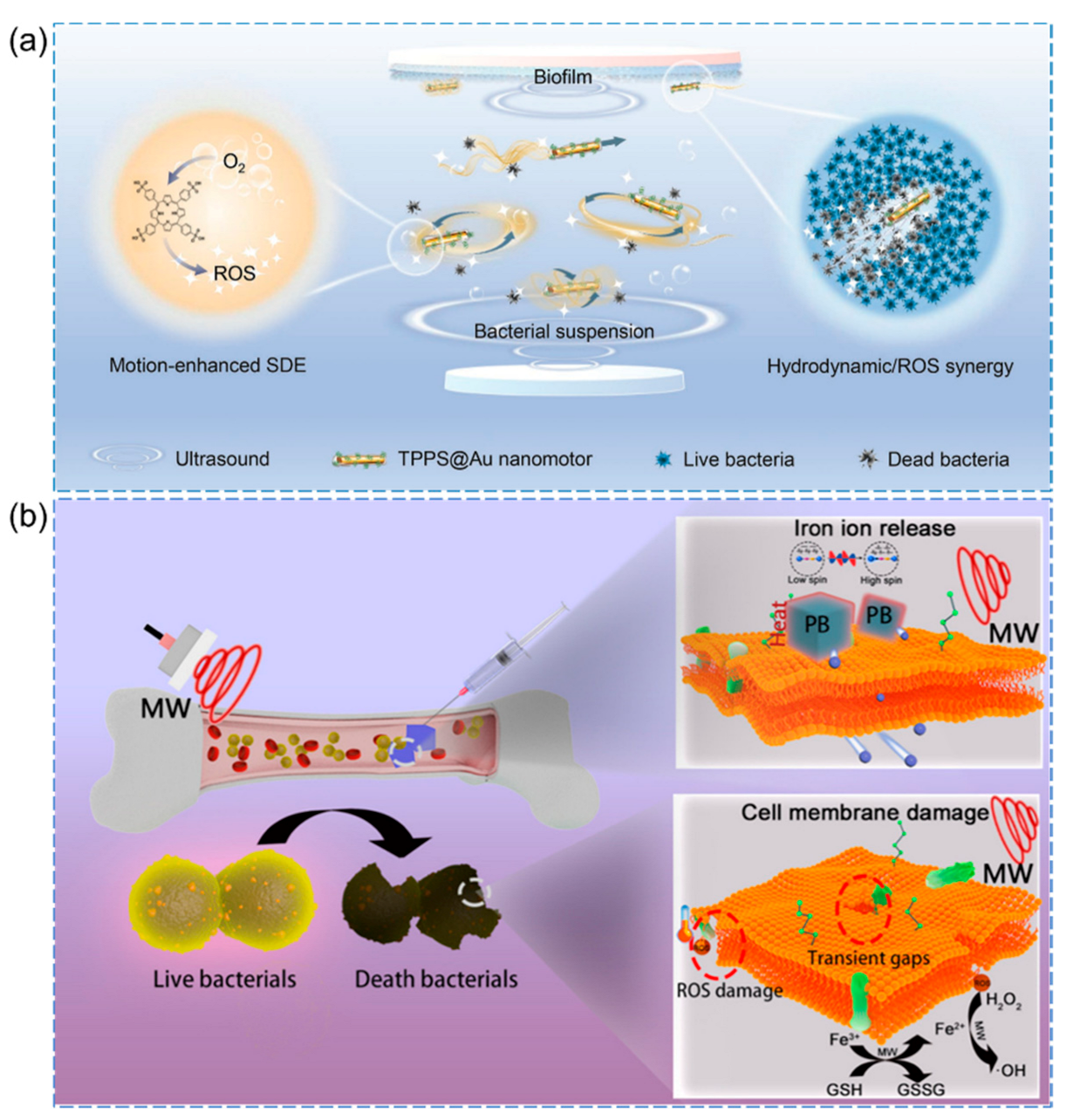 Pharmaceutics 15 02113 g009 Pharmaceutics 15 02113 g009