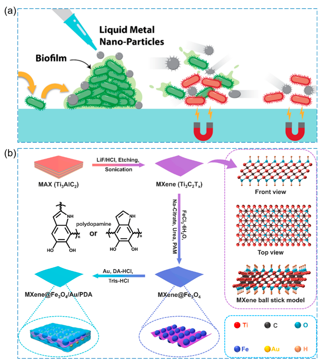 Pharmaceutics 15 02113 g010 Pharmaceutics 15 02113 g010