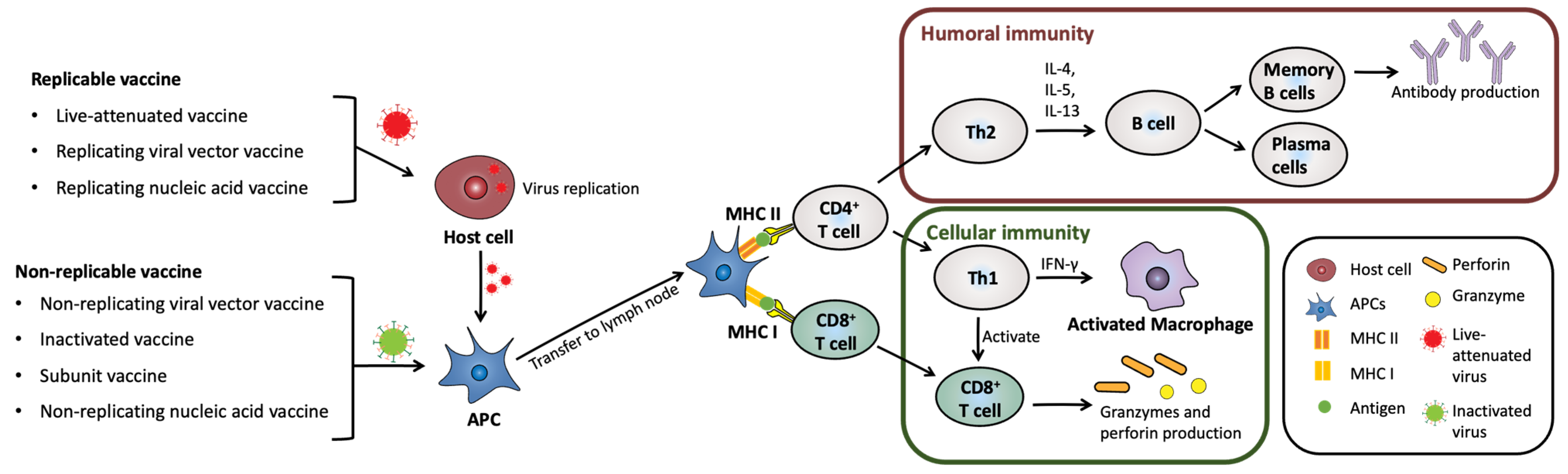 Pharmaceutics 15 02114 g002 Pharmaceutics 15 02114 g002